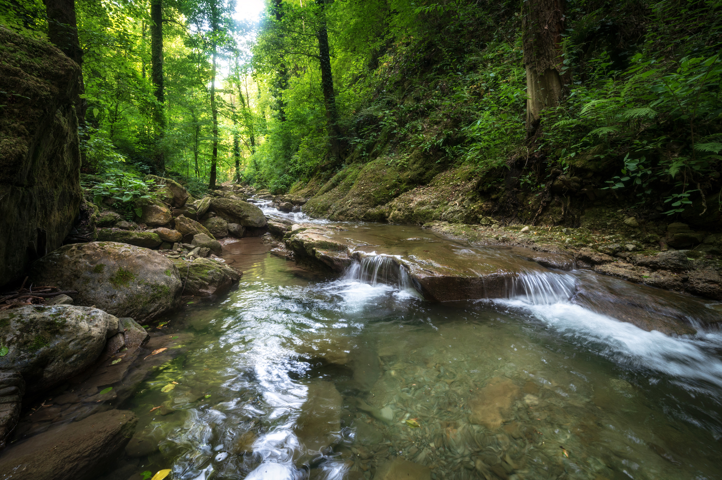 , Сергей Тихомиров