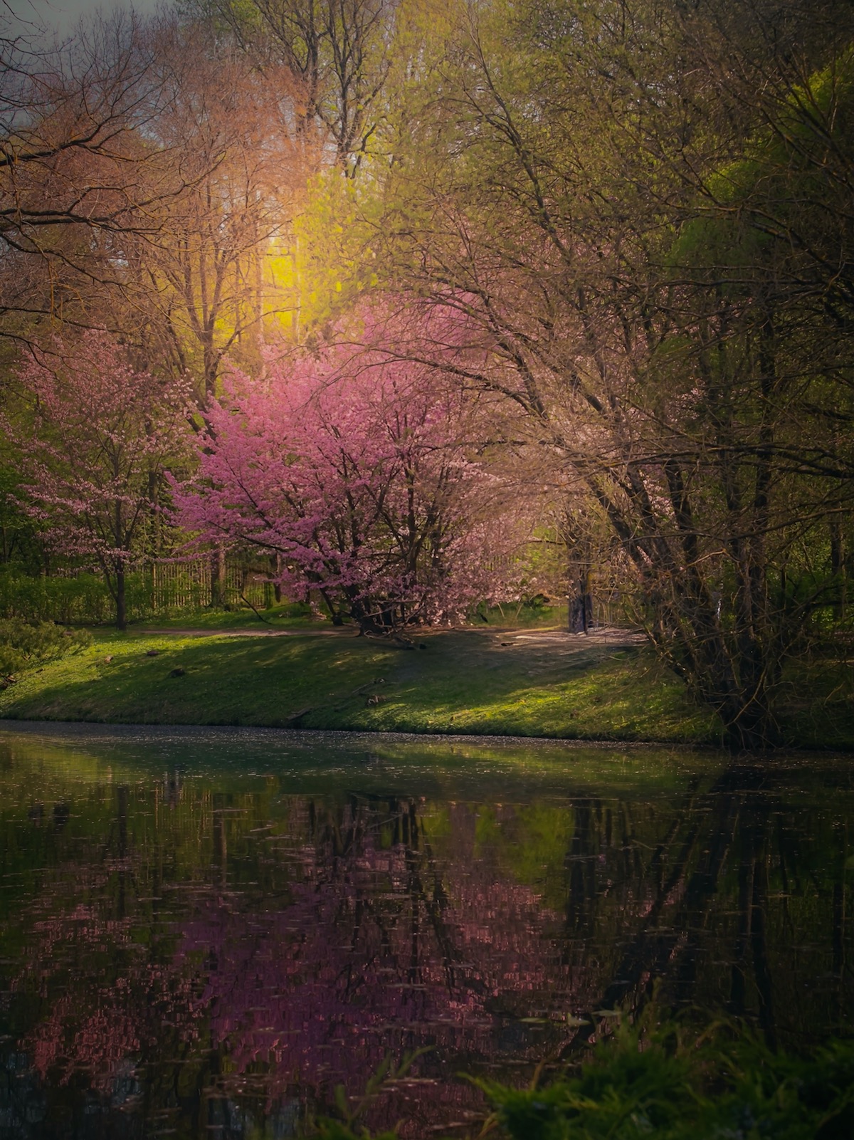 пейзаж, landscape, nature, природа, весна, spring, sunset, Julia Kaissa