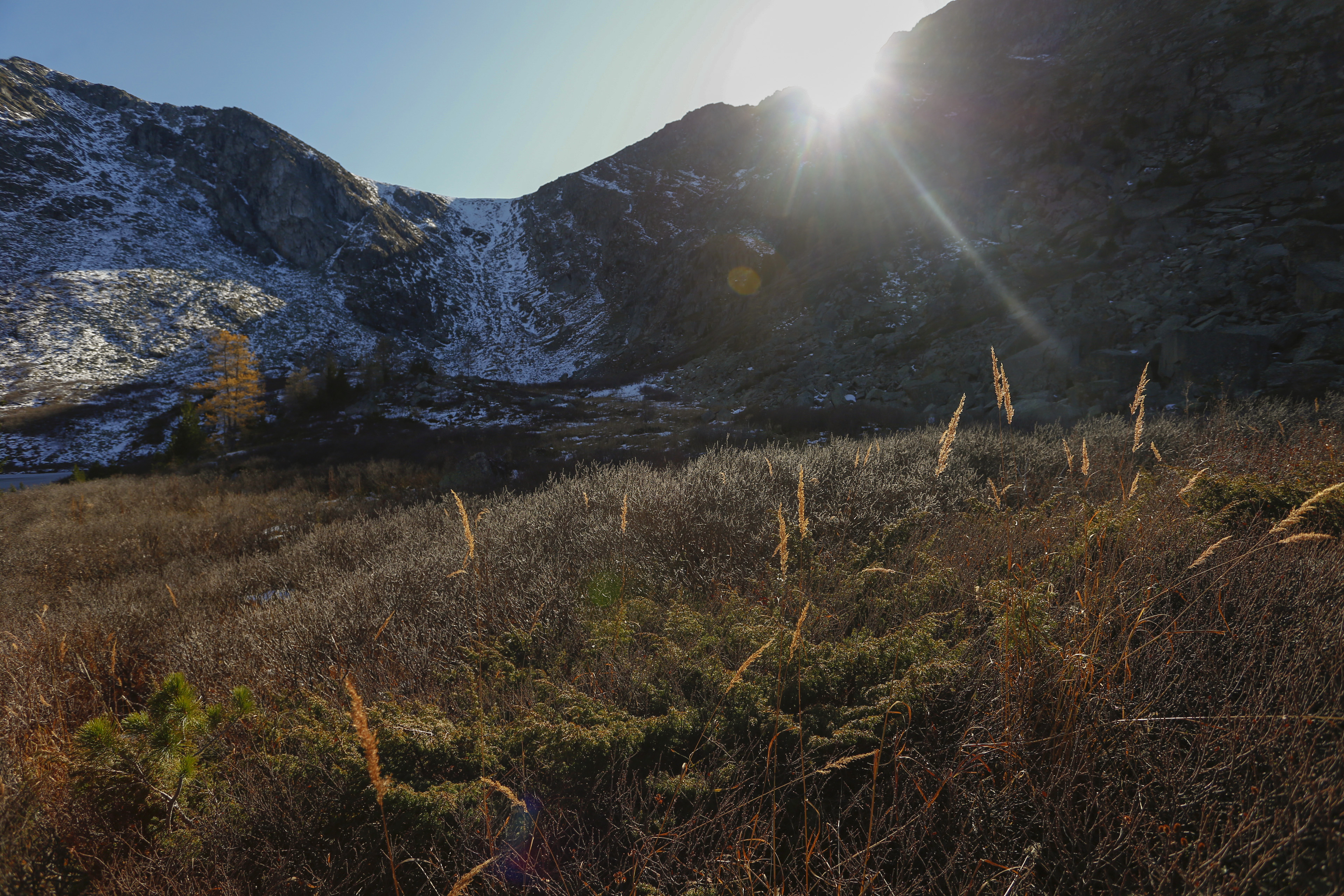 , Константин Буркин