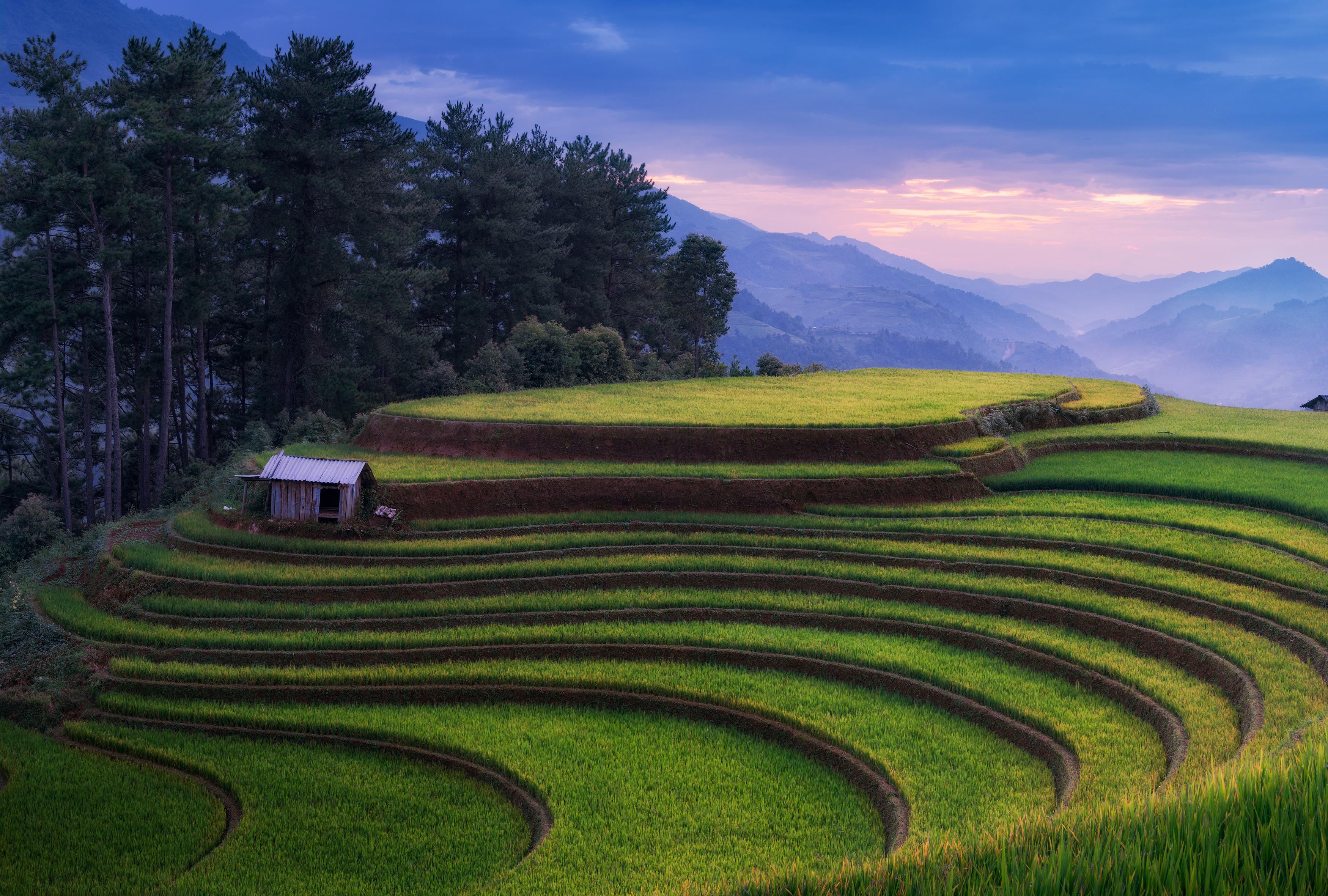 вьетнам, му кан чай, провинция, лао кай, рис, рисовое, поле, терраса, рисовые, террасы, холм, горы, осень, азия, vietnam, mu cang chai, province, lao cai, rice, paddy, paddies, field, hill, mountain, traditional, hut, terrace, terraces, autumn, Эрнест Вахеди