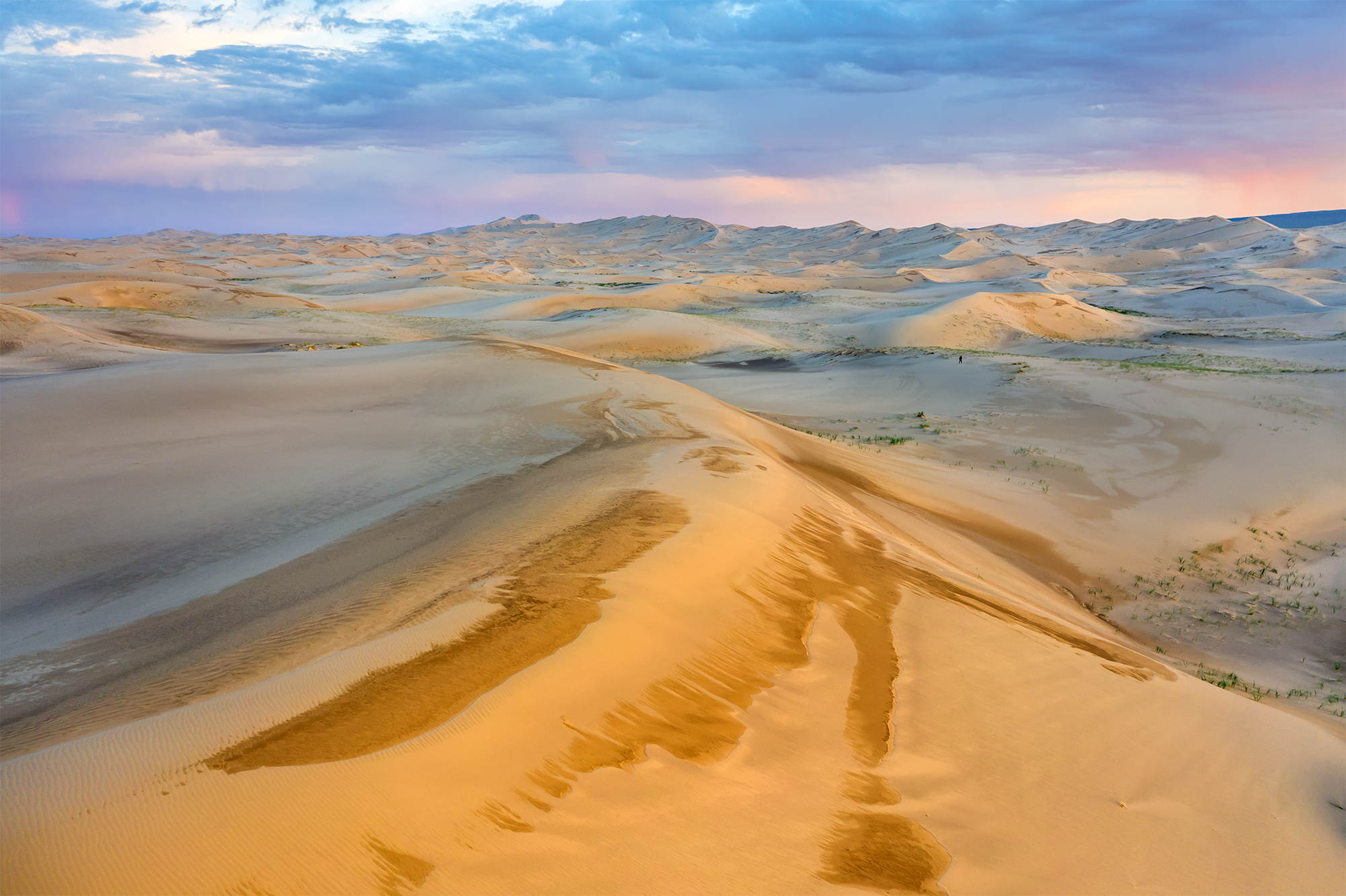 монголия, гоби, хонгорын, Эдуард Кутыгин