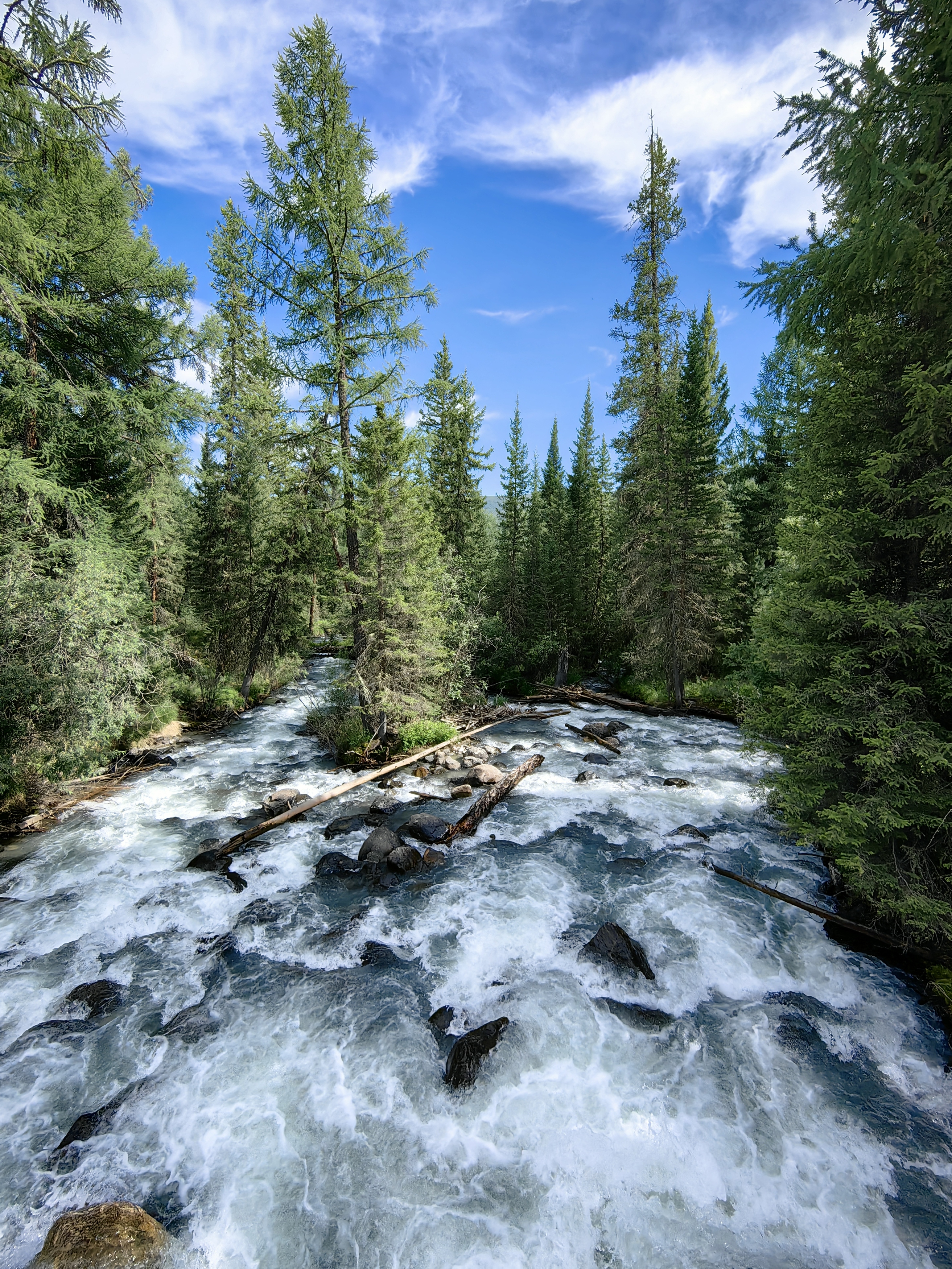 природа,алтай,лето,река тюнь, Козлова Галина