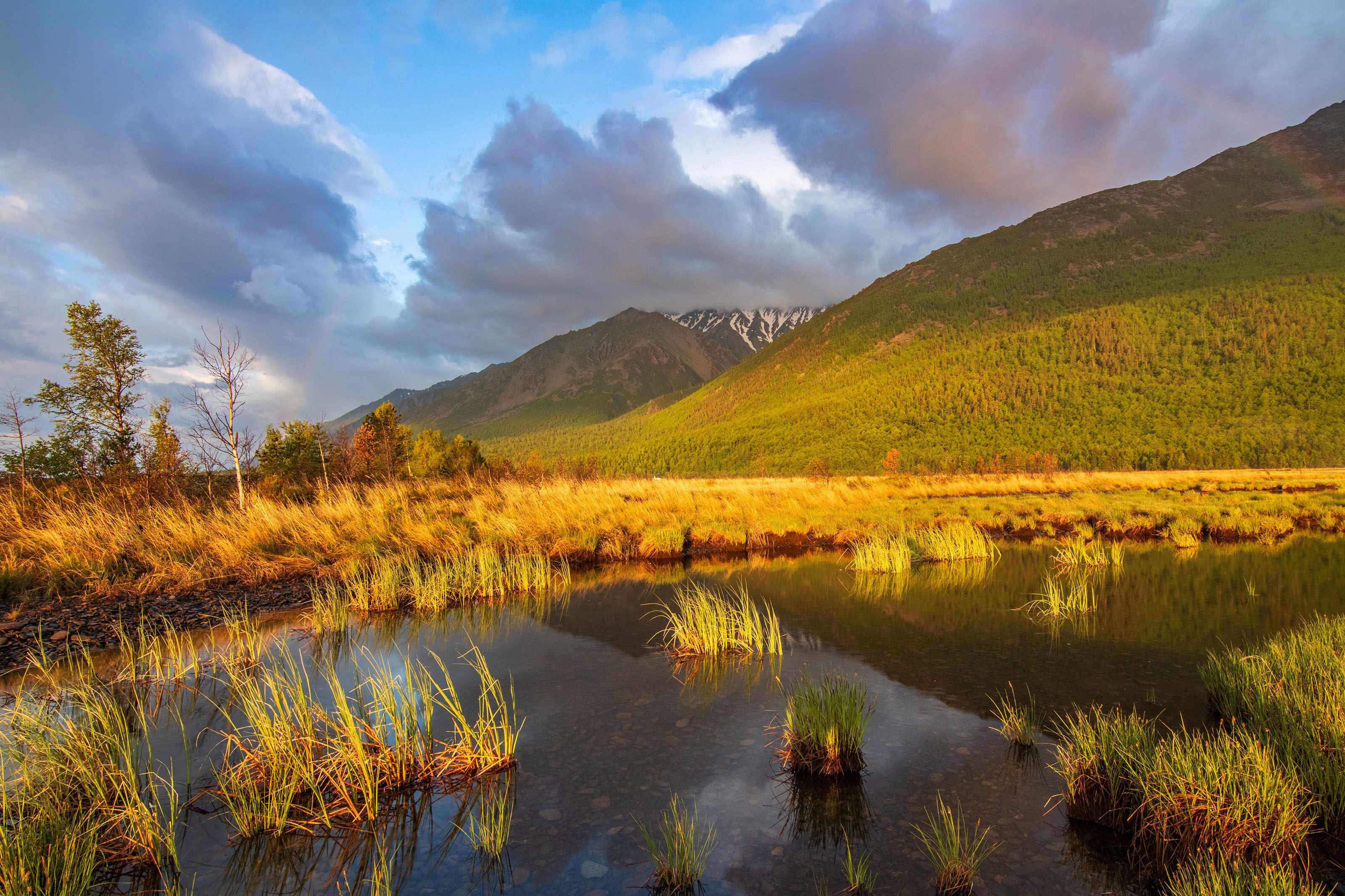 северный байкал, Добролюбова Тамара