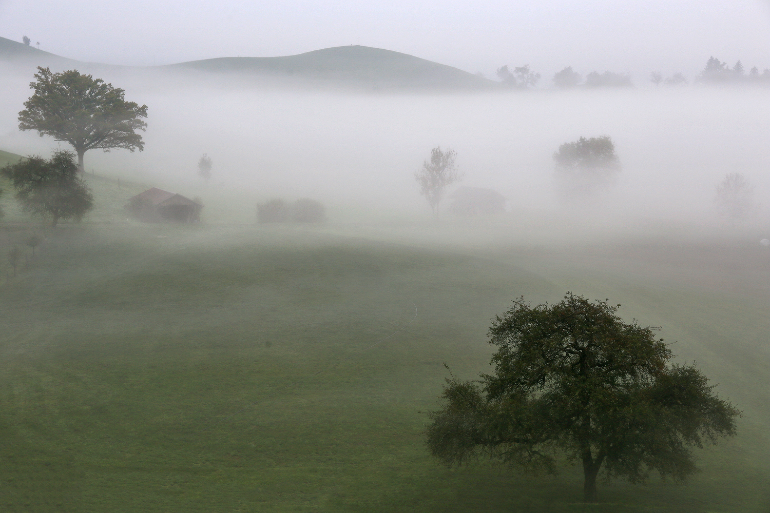 , Галина Хвостенко