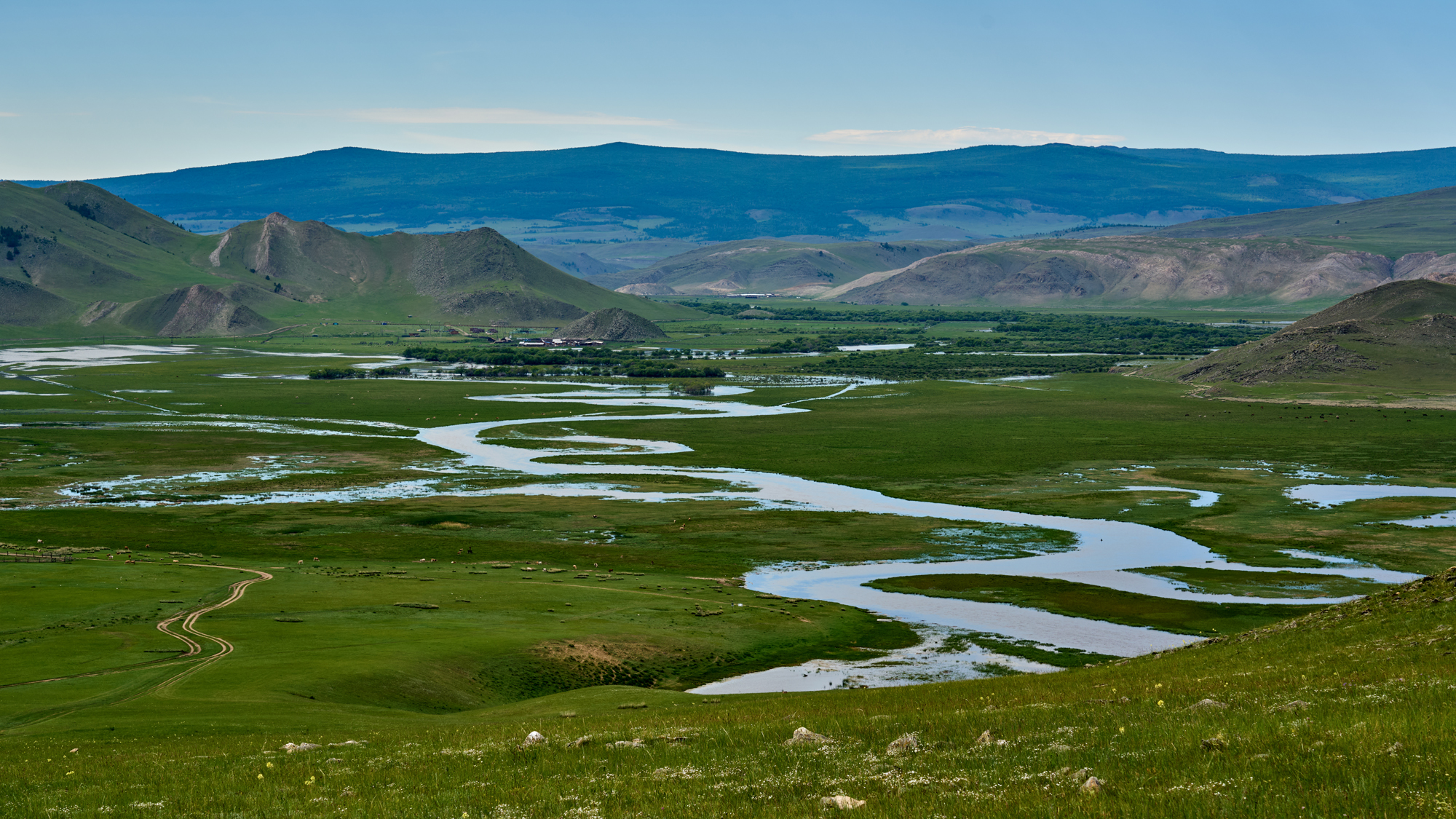 , Низовцев Сергей