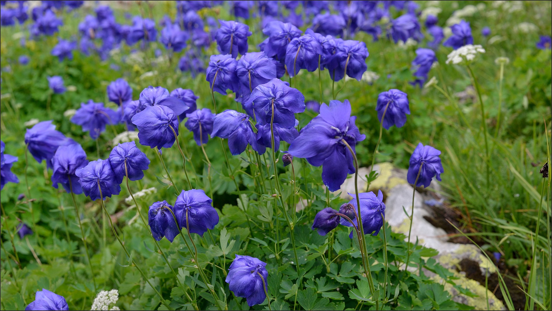 ергаки, Беляев Юрий