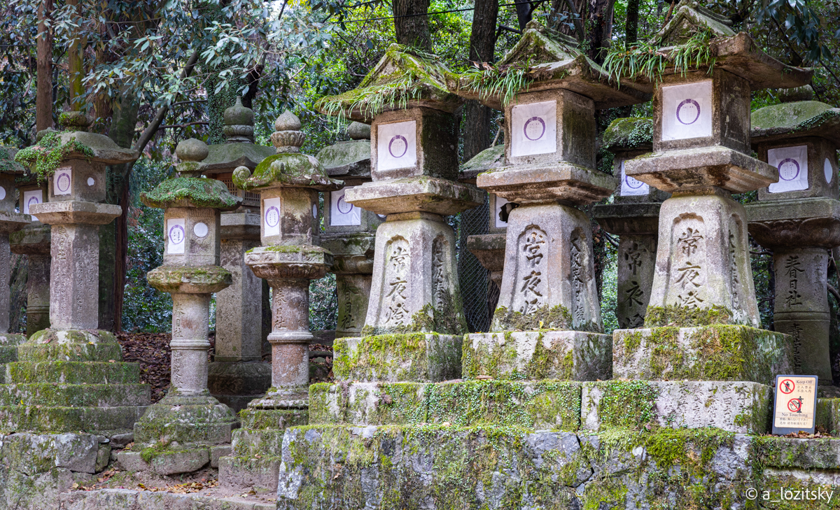 , Лозицкий Александр