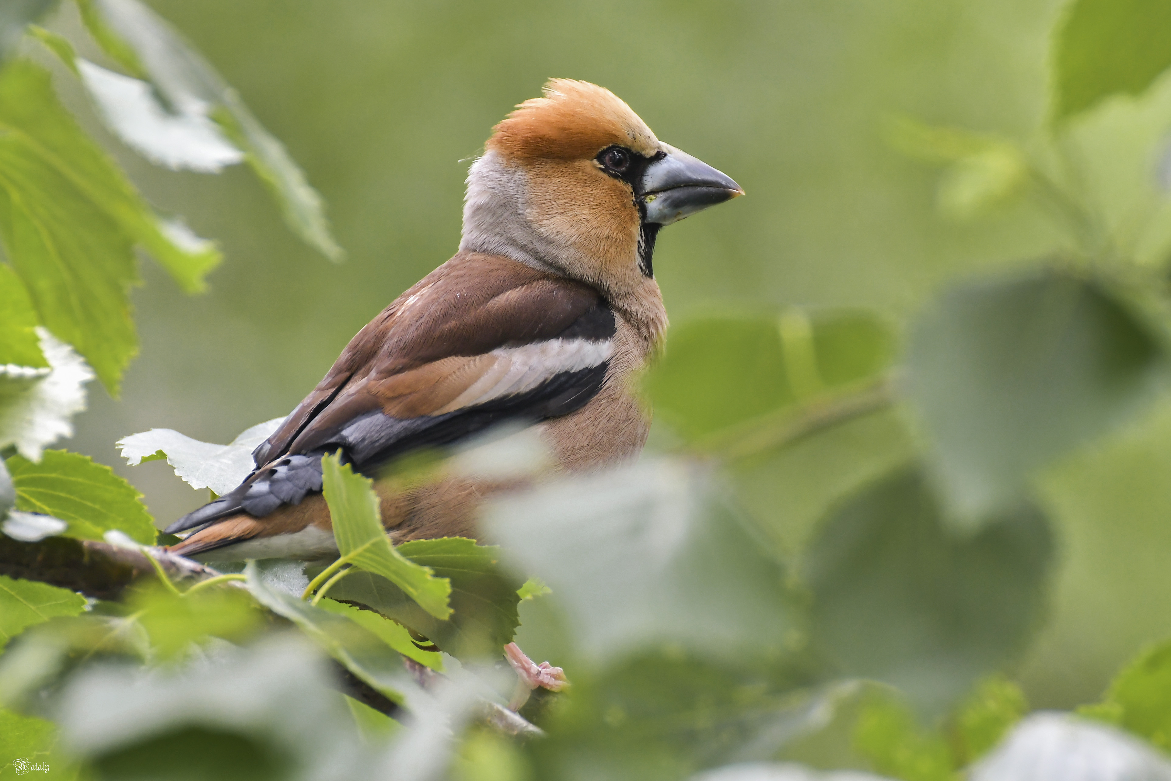 , Наталья Екимова