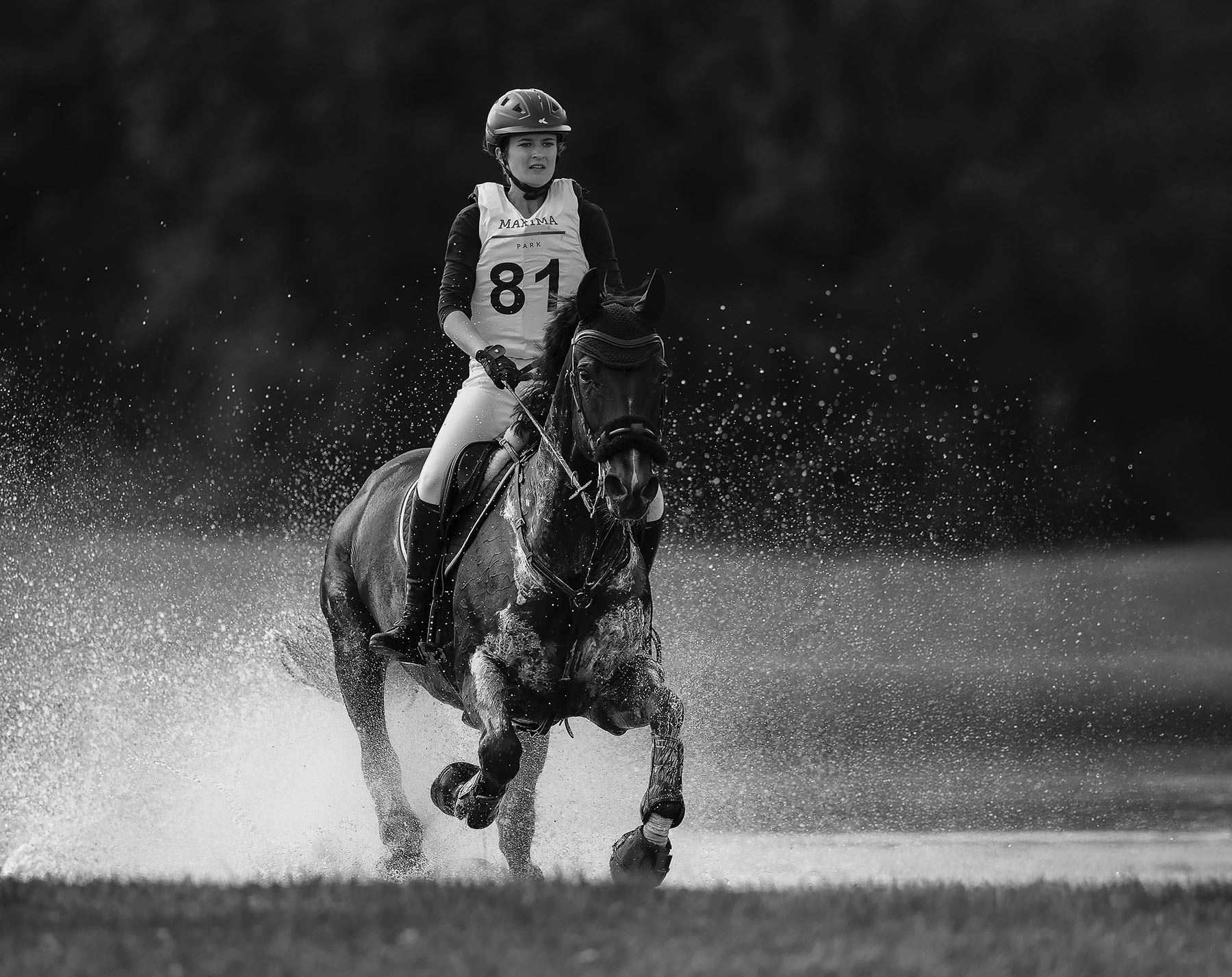 соревнования, спорт,троеборье,competition, horse ,movement ,sport, Стукалова Юлия