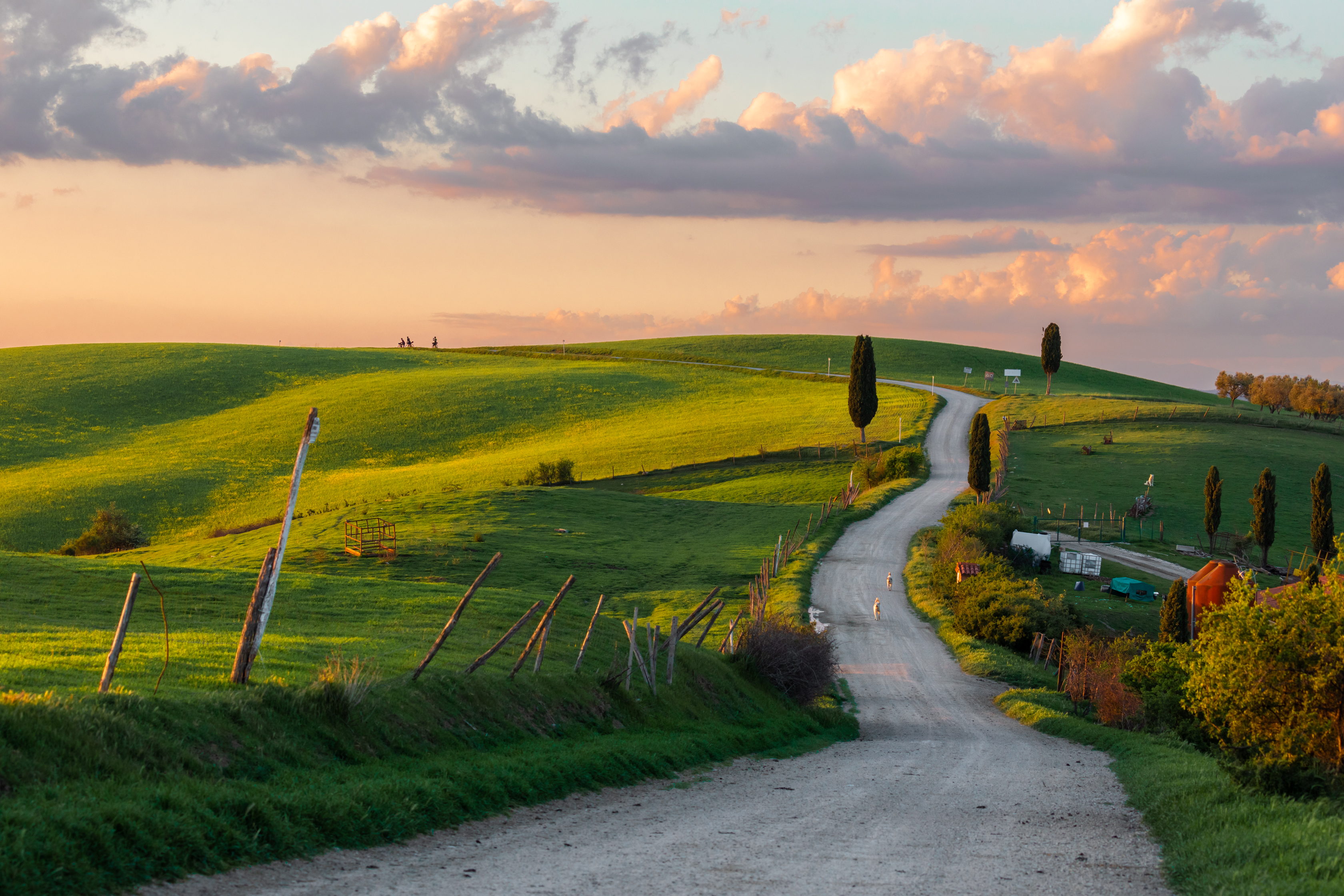 , Евгения Чех