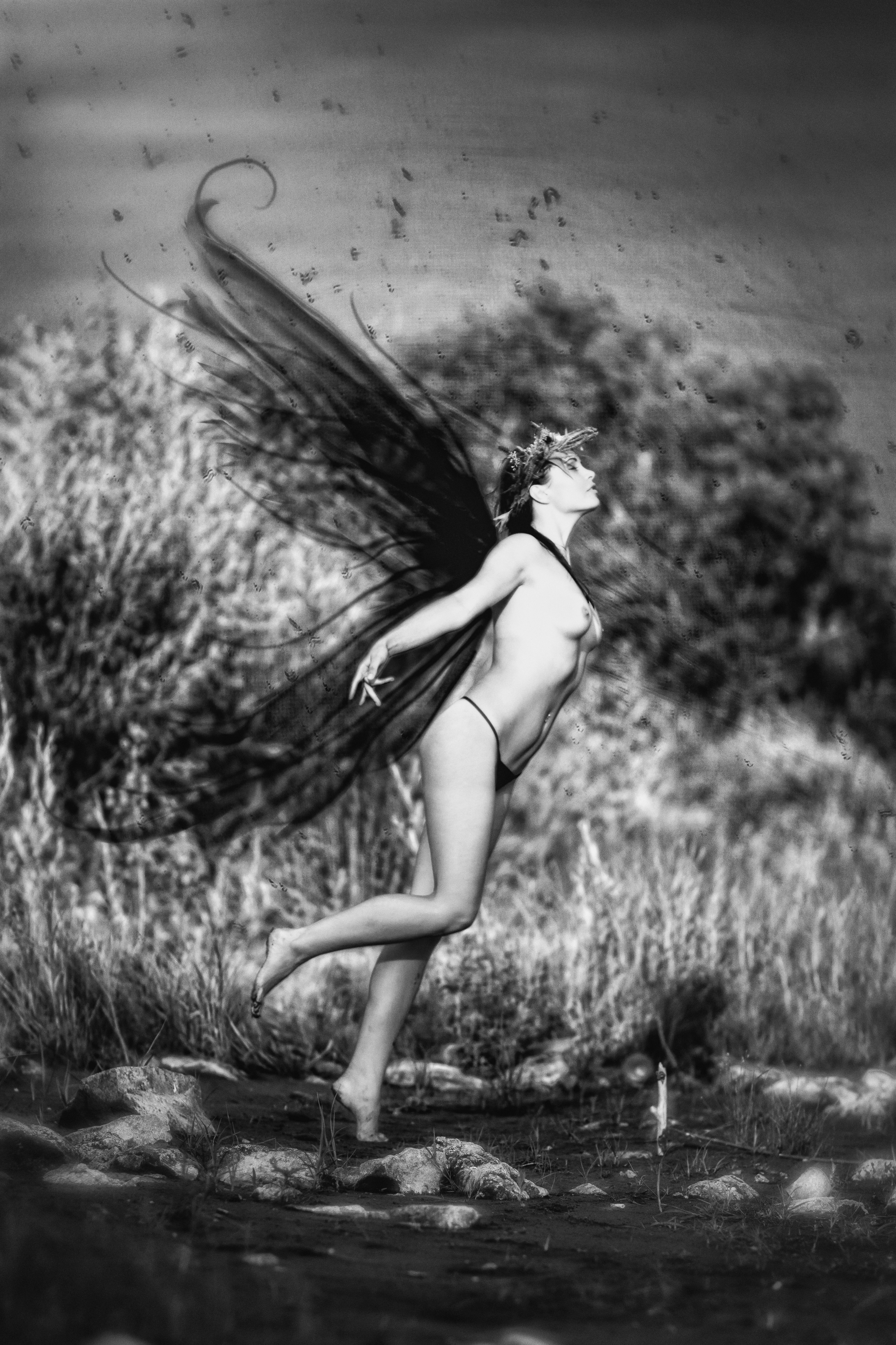 avariel, Раимун Алексей