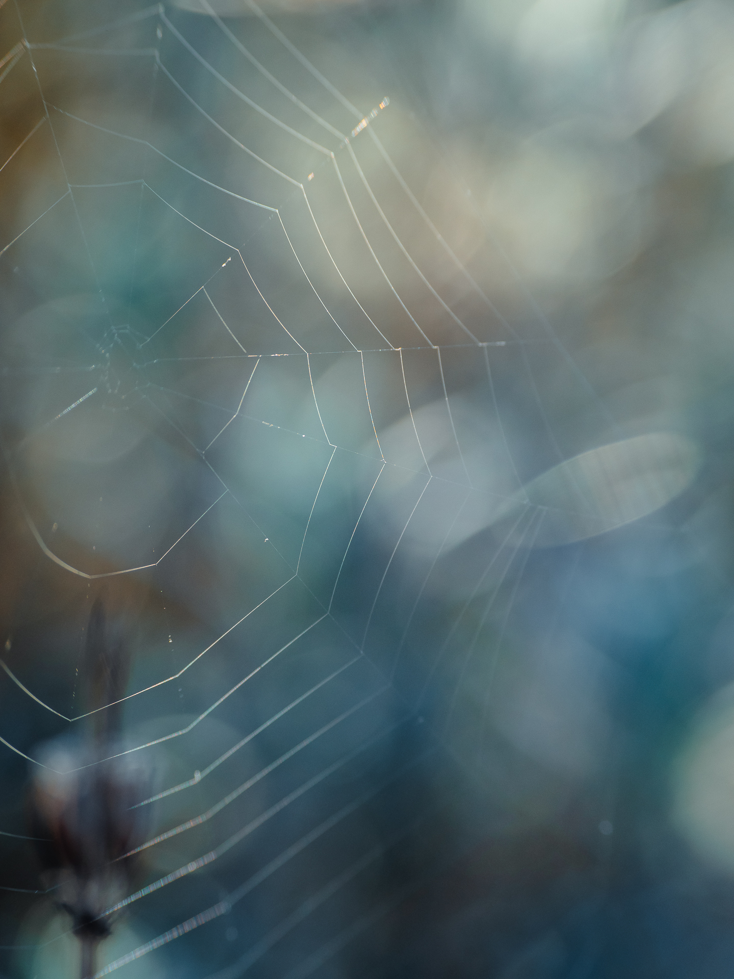 , Ирина Протченко