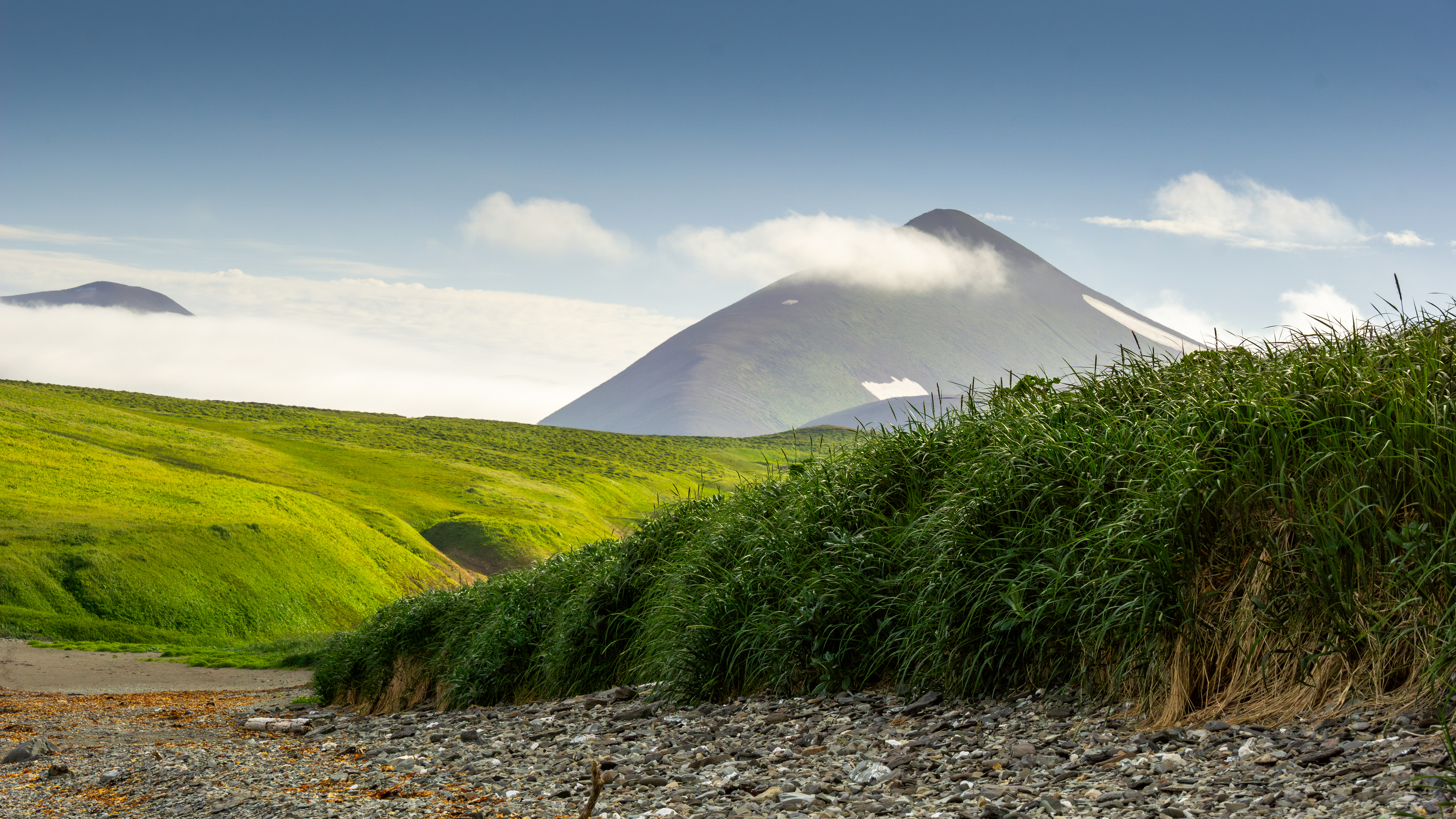 , Денис Туев