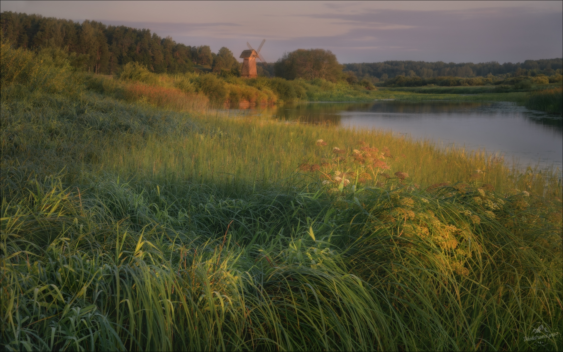 пушкинские горы, псковская область, пушкин, пушкиногорье, усадьба пушкина, михайловское, мельница, пушкинские места, фототур в пушкинские горы, Влад Соколовский