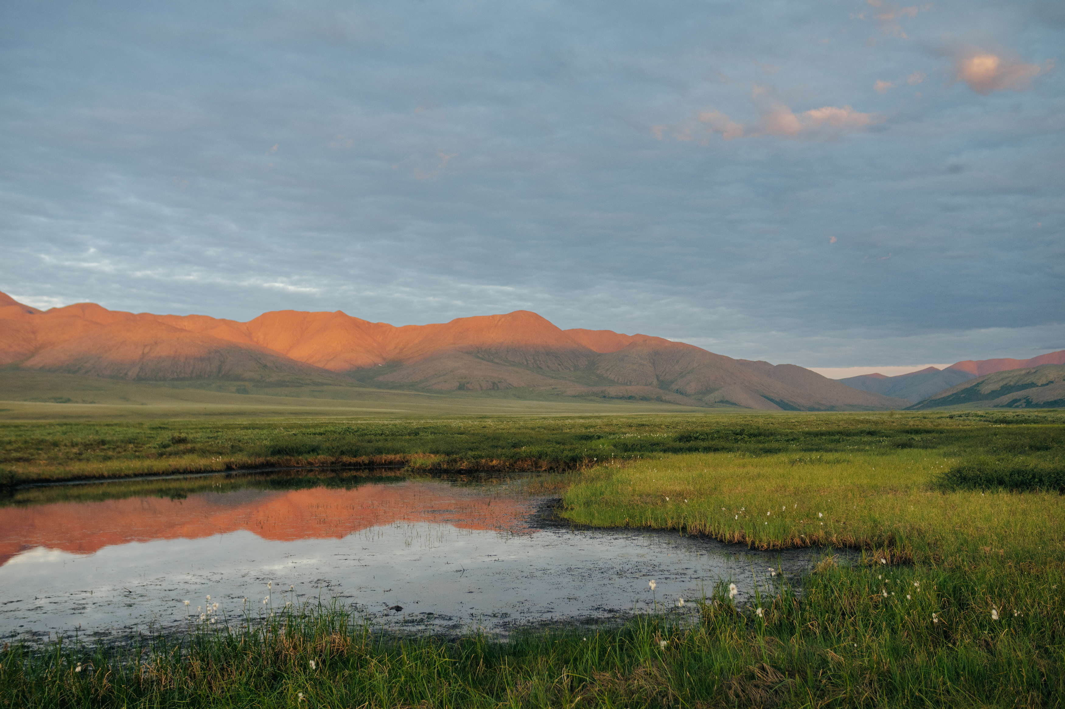 , Виктор Гагарин