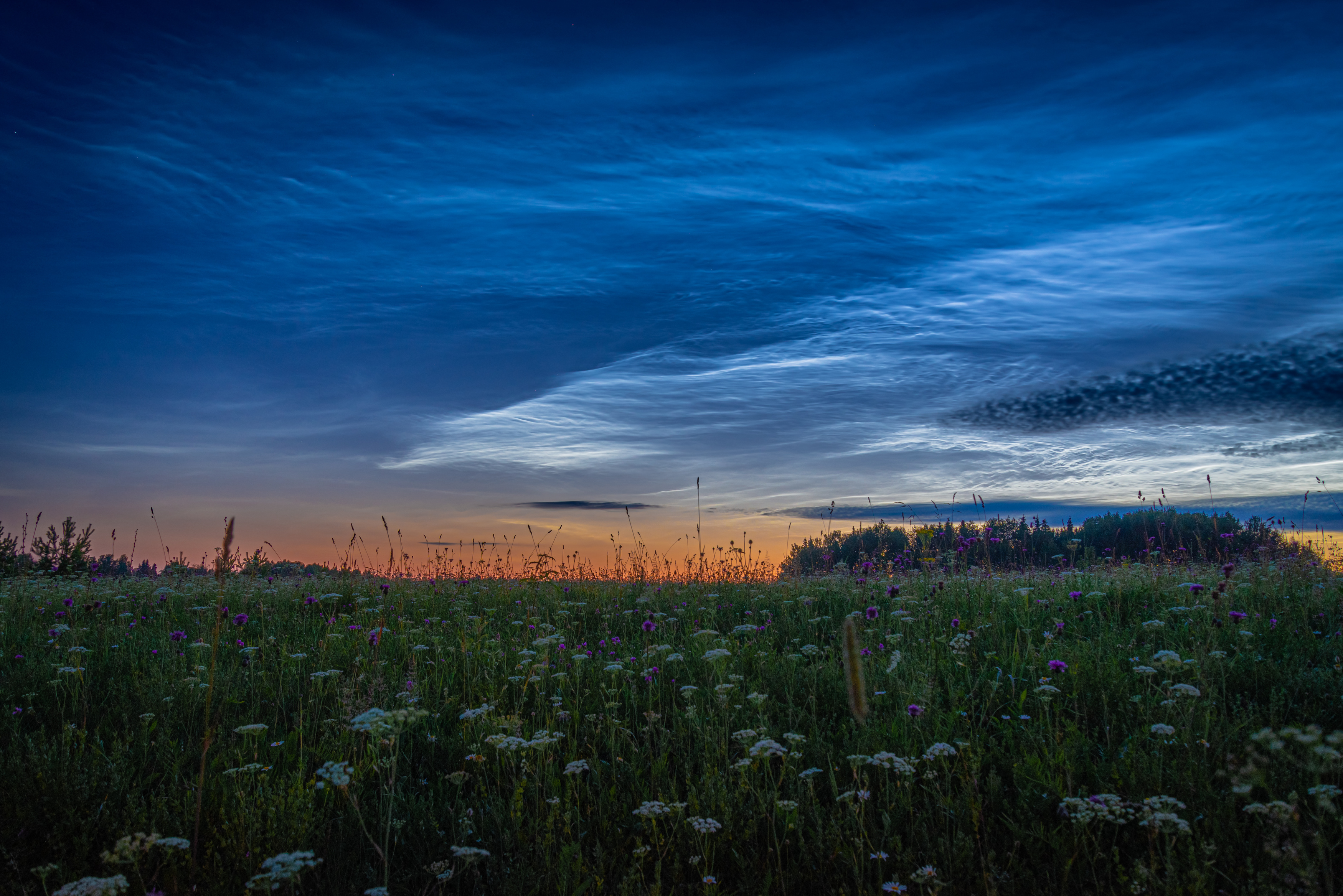 , Кокорин Алексей