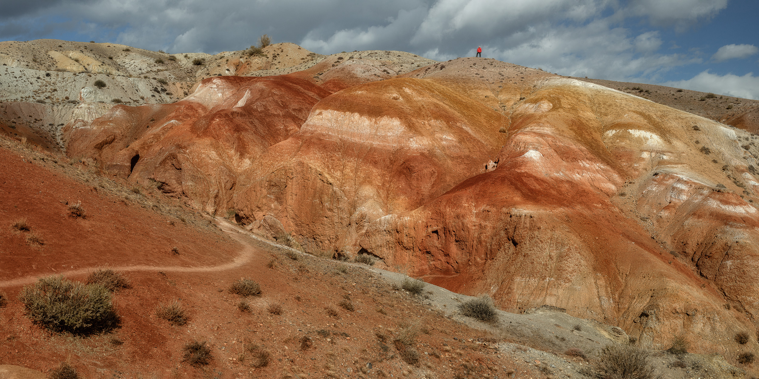 , Константин Маланин