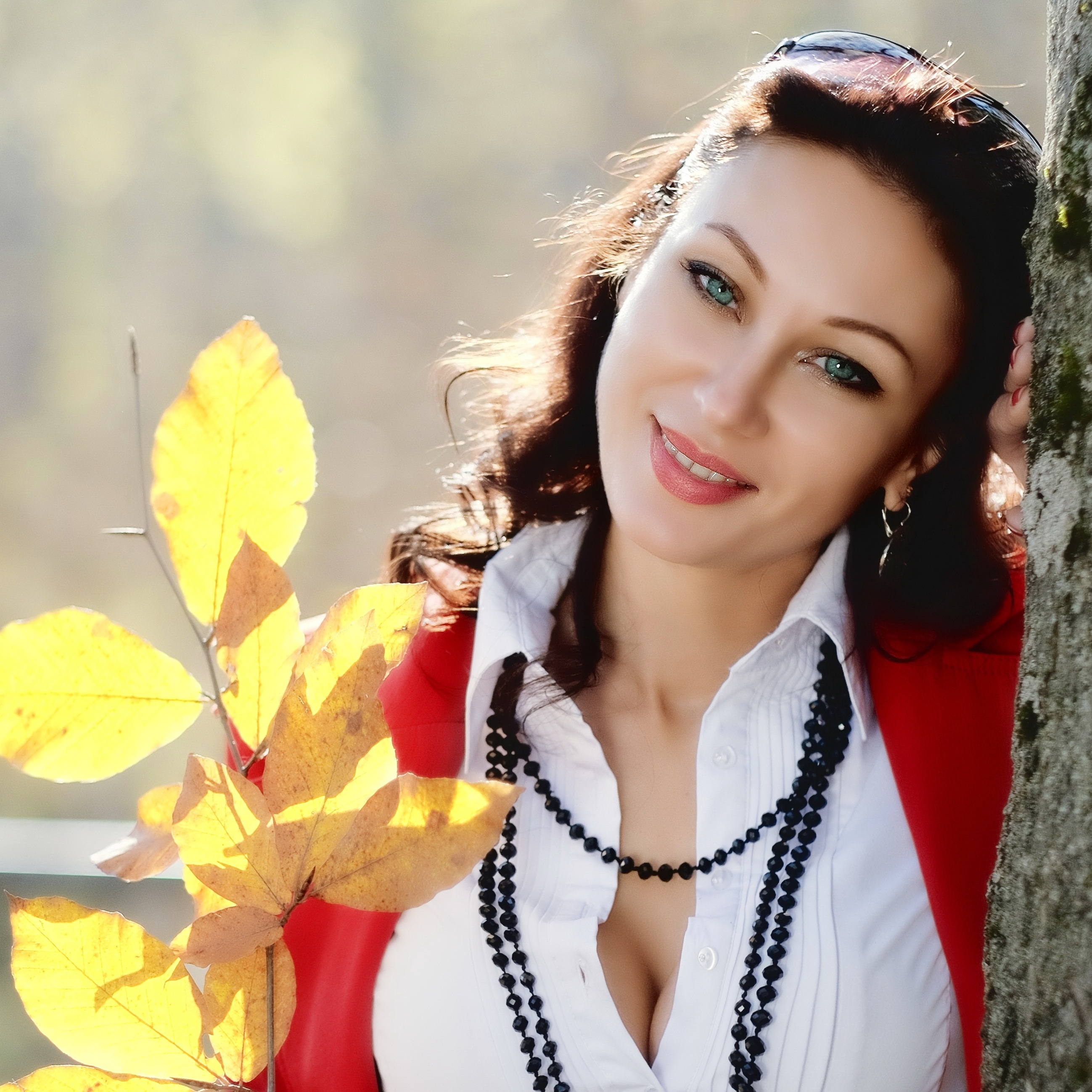 , Владимир Кулаков