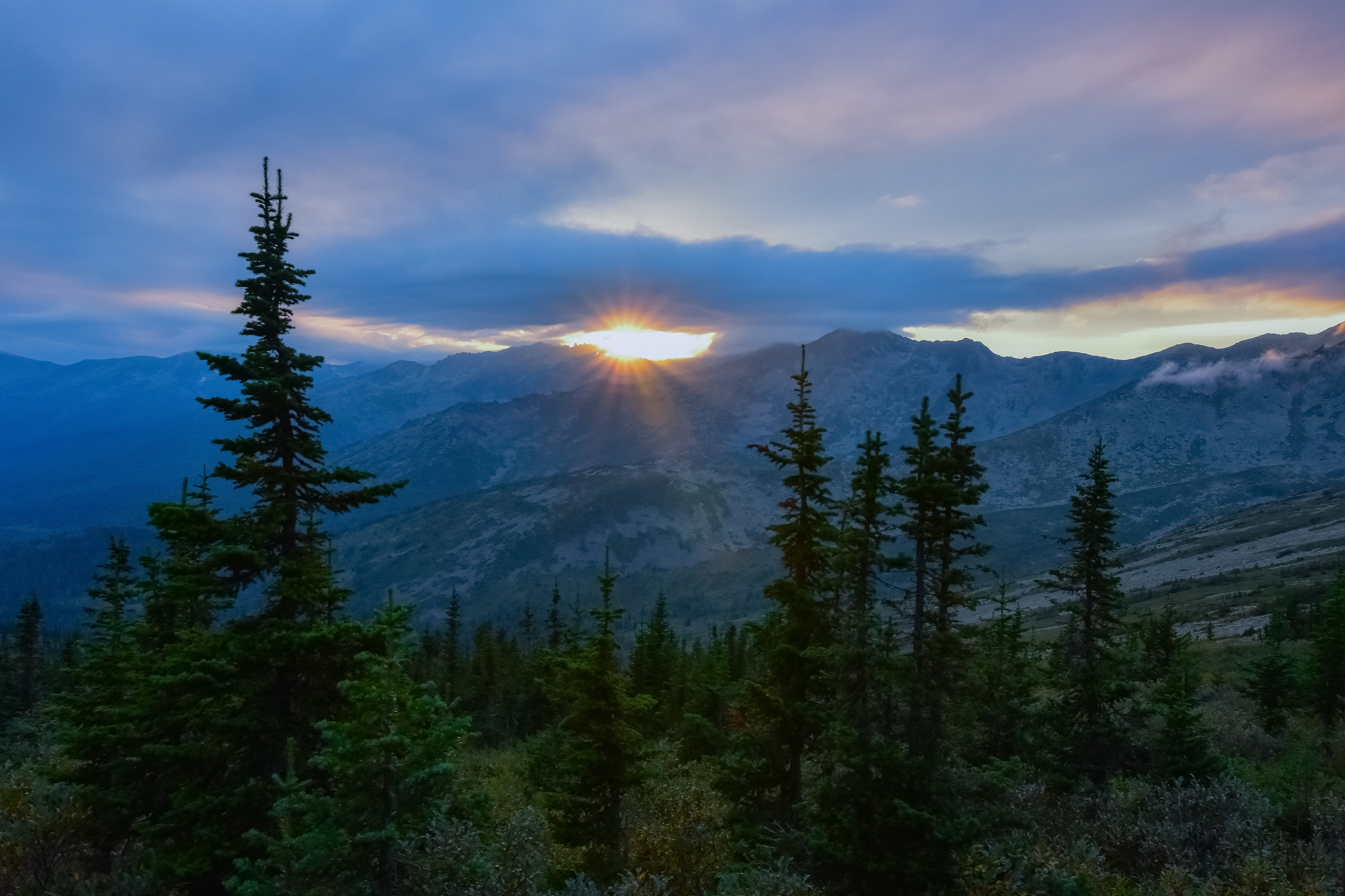 россия, хакасия, хребет кузнецкий алатау, лето, вечер. закат, солнца, ёли, горы, Холзаков Вячеслав