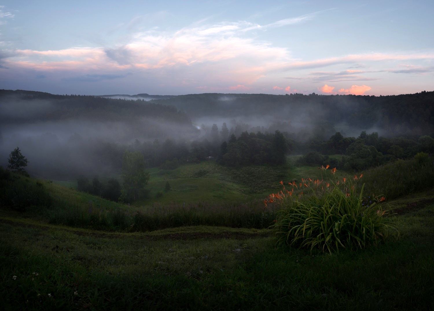 туман, свет, вечер, природа, Баранов Олег
