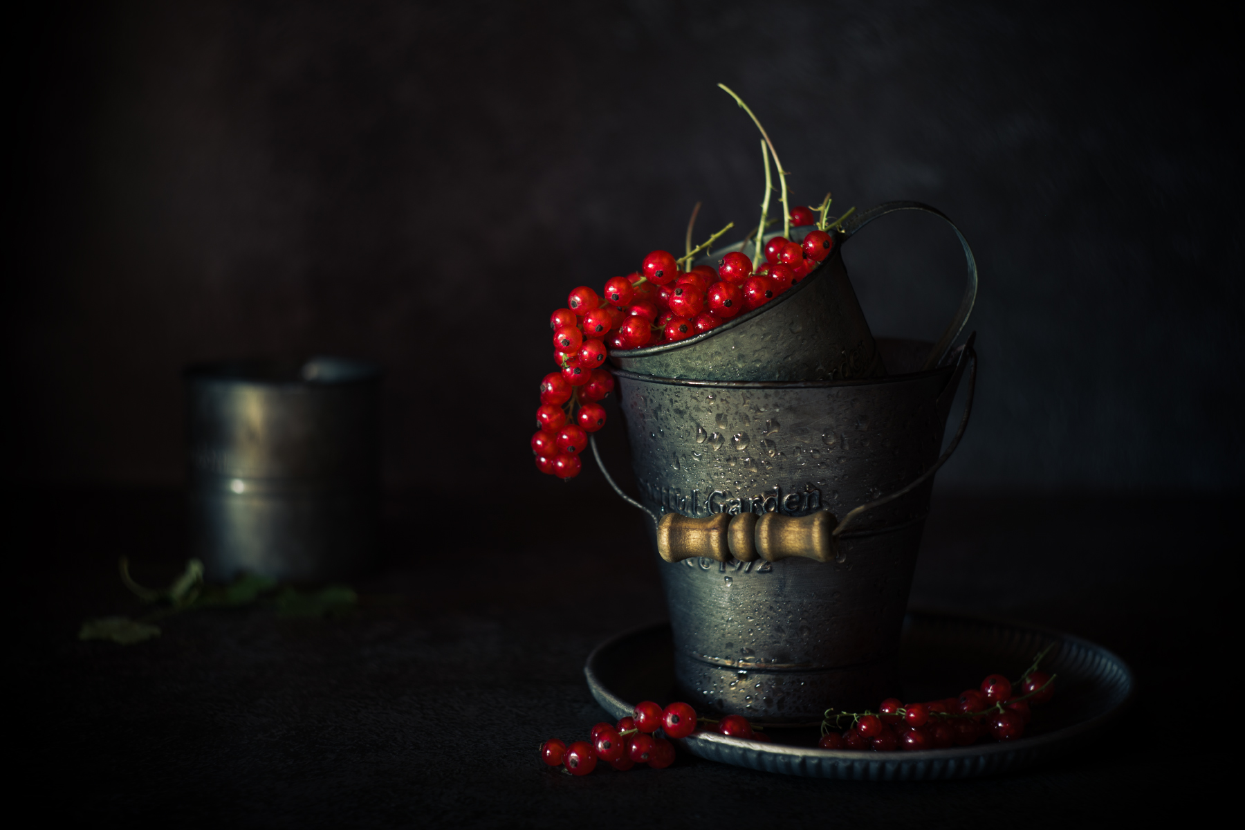 лето, смородина, красная смородина, натюрморт, Александр Азаренков