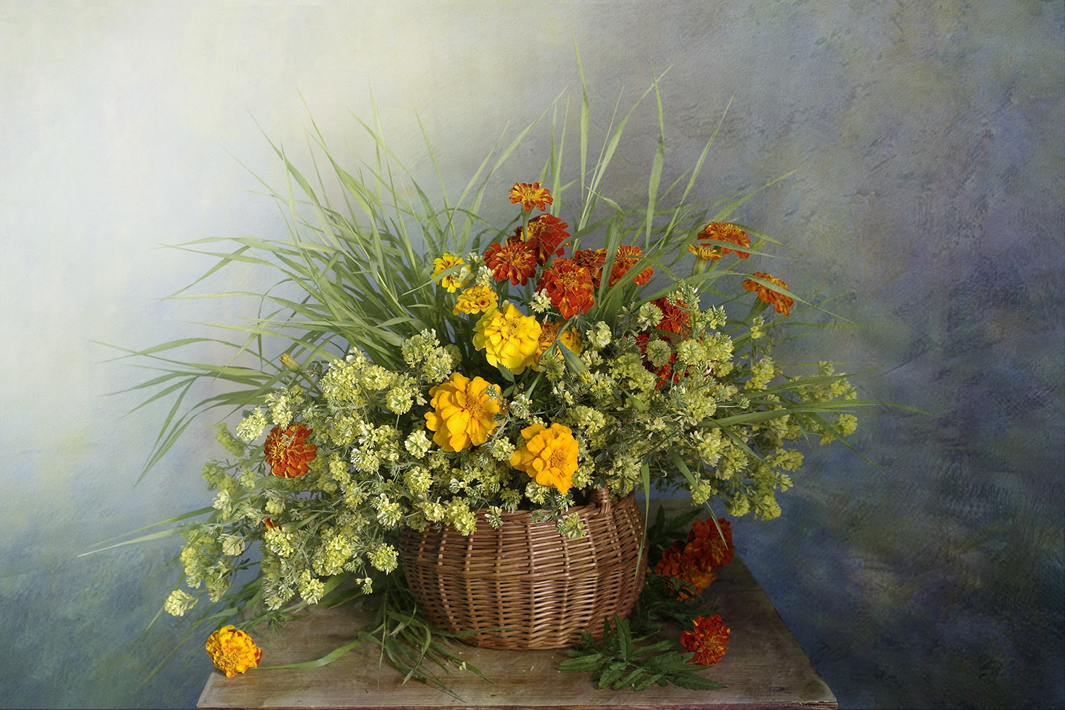 натюрморт, цветы, вера павлухина,бархатцы,, Вера  Павлухина