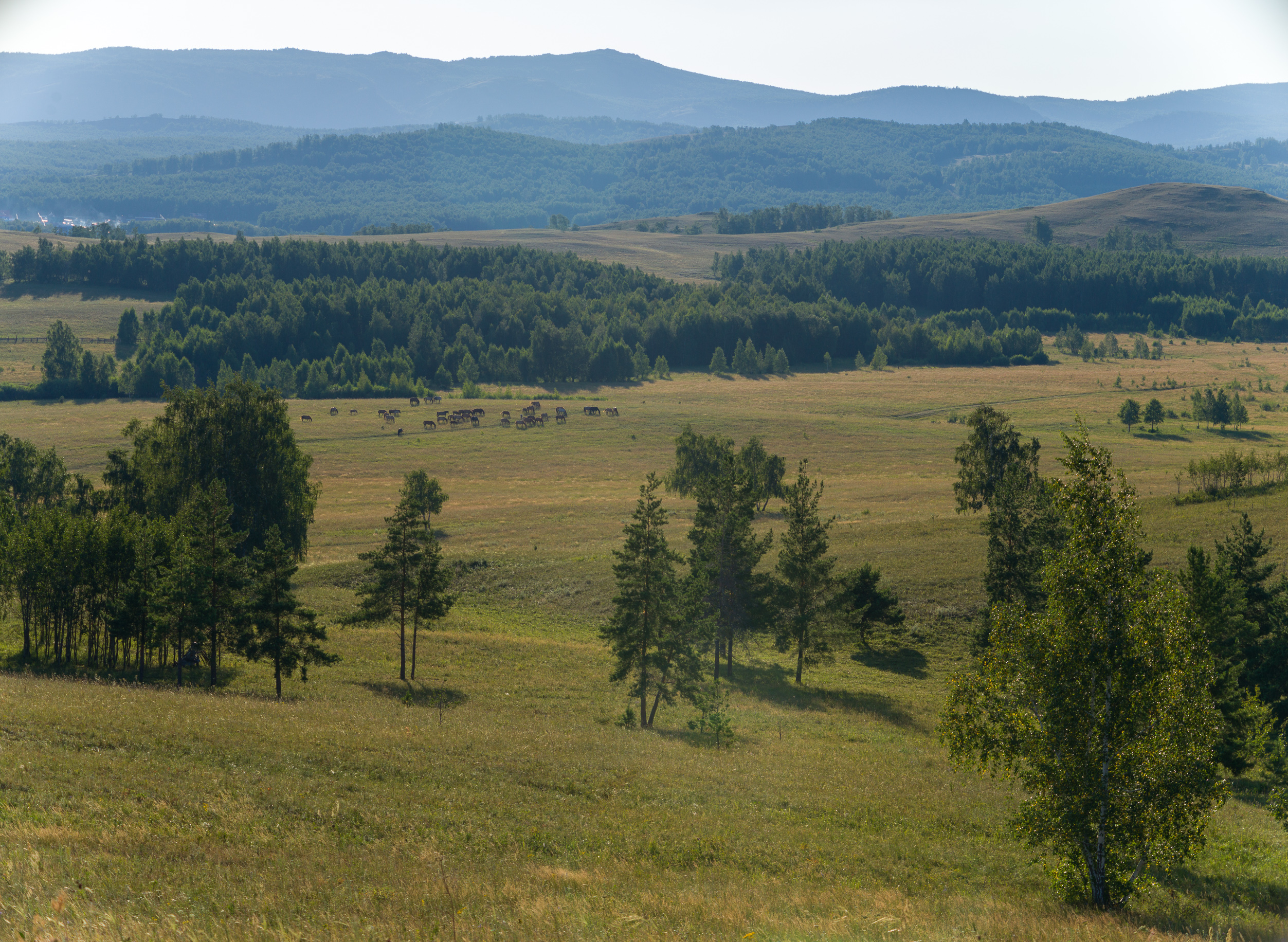 , Шустиков Дмитрий