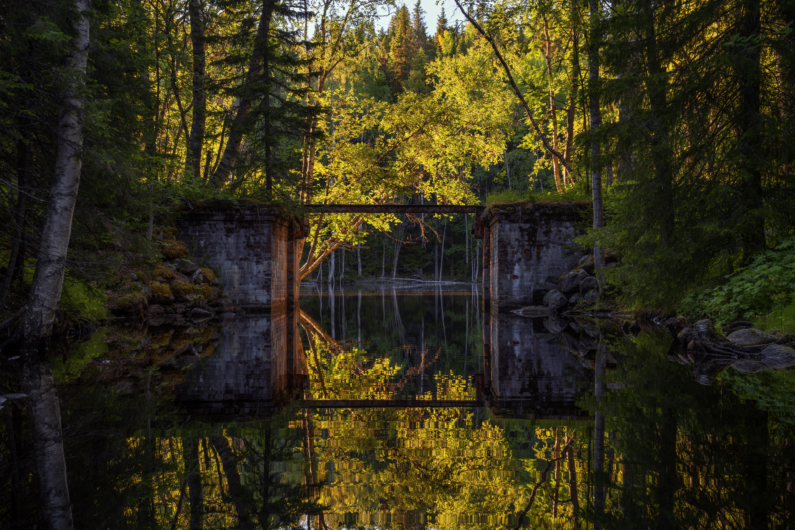 соловки, соловецкие острова, канал, Олег Зверев