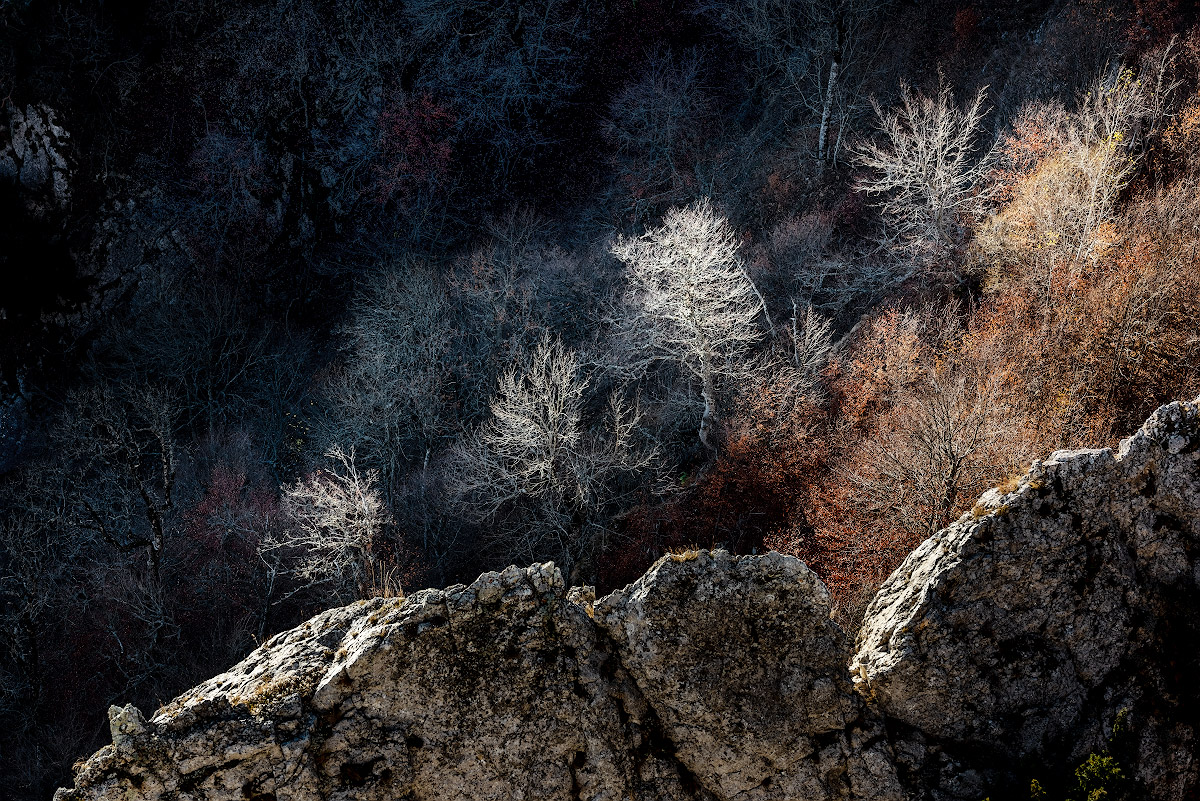 , Андрей Гусаченко