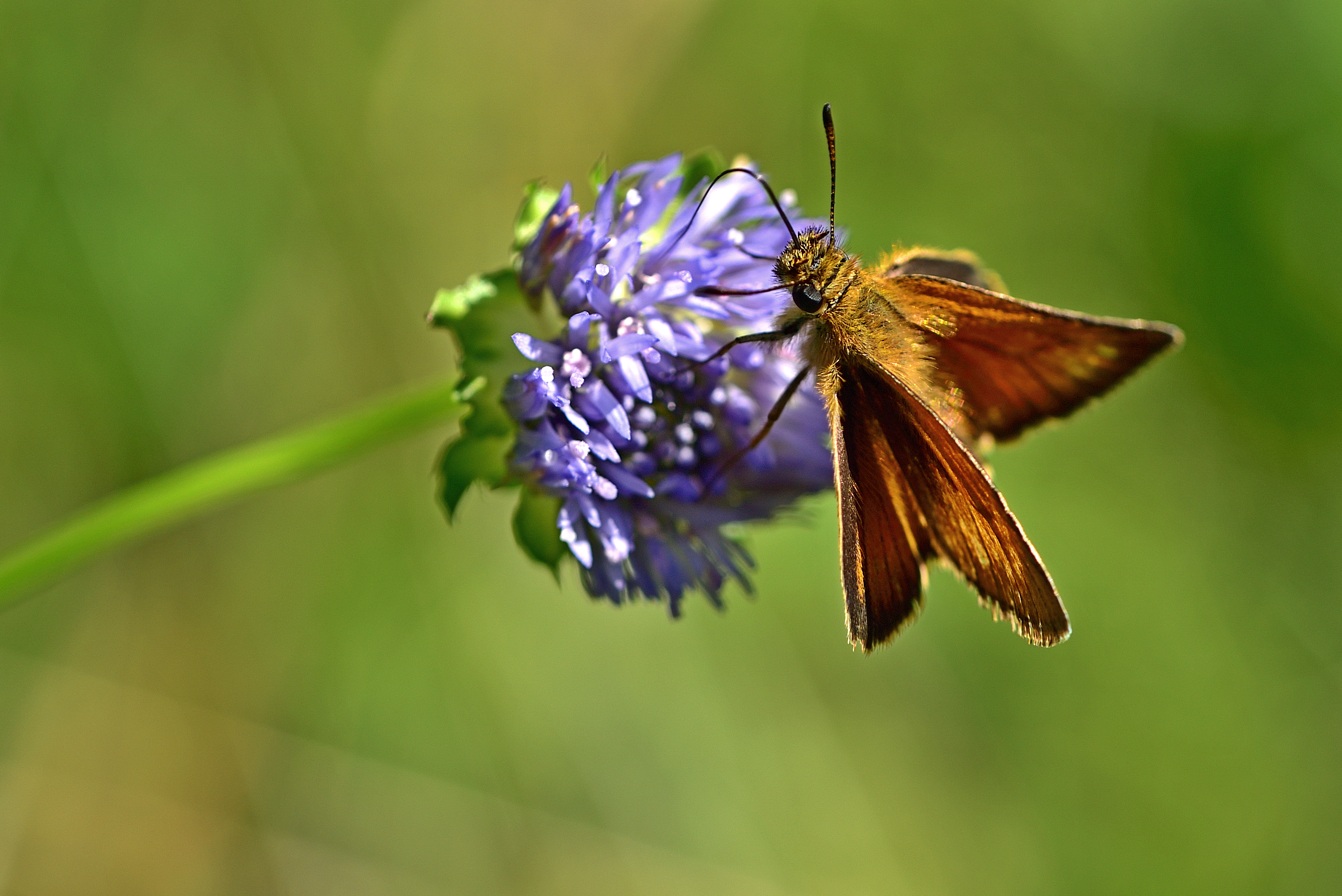 , Корнейчук Игорь