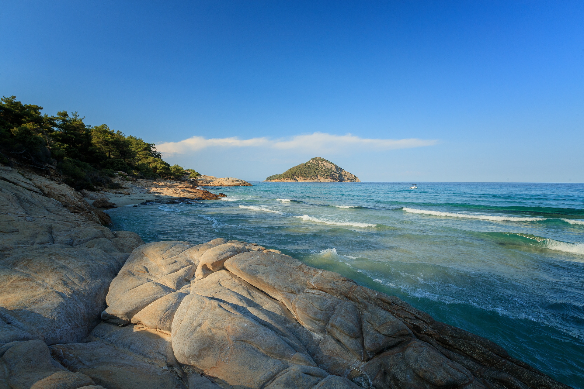 , Сандев Александър