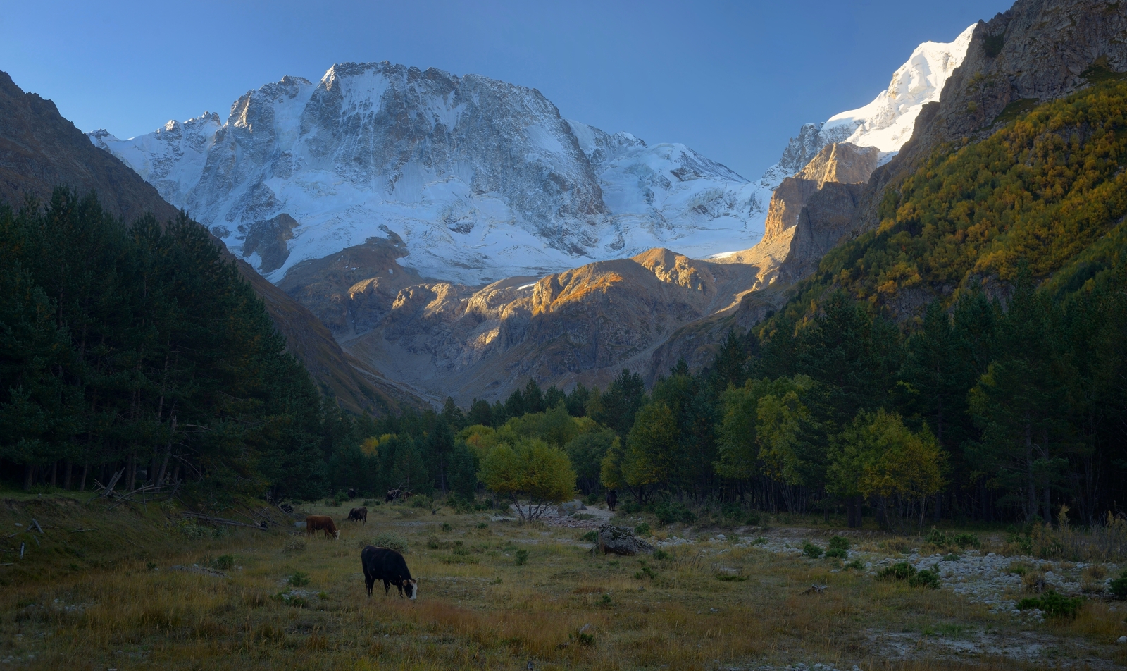 горы осень кавказ рассвет адыр-су, Александр Жарников