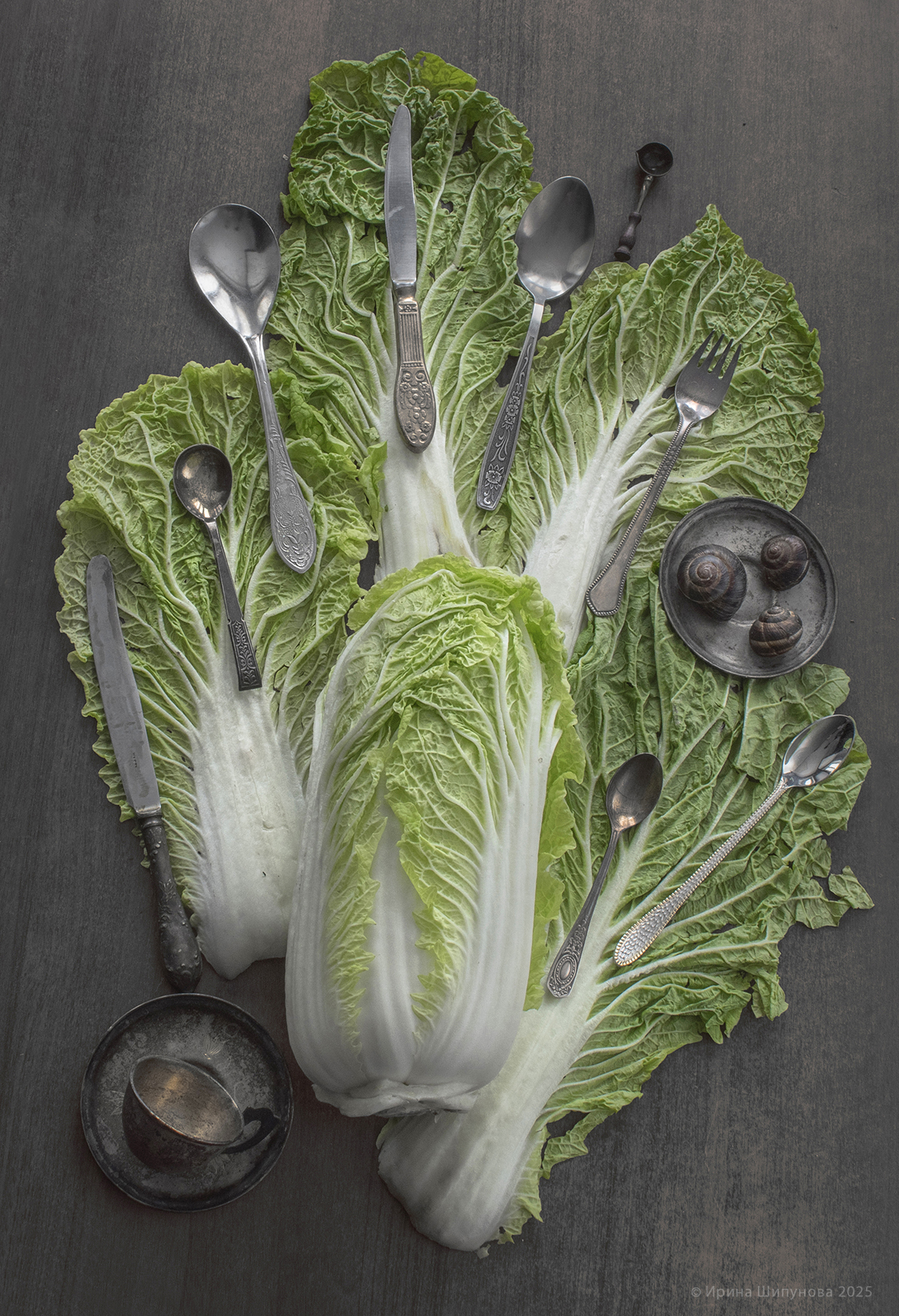 флетлей, артфото, Шипунова Ирина