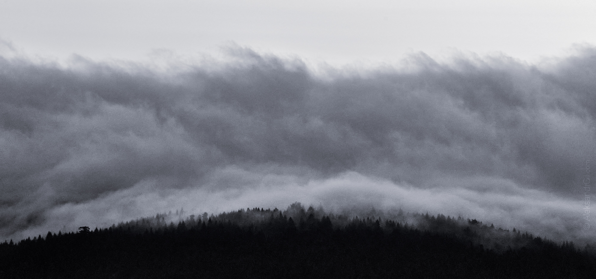 , Гиль Александр