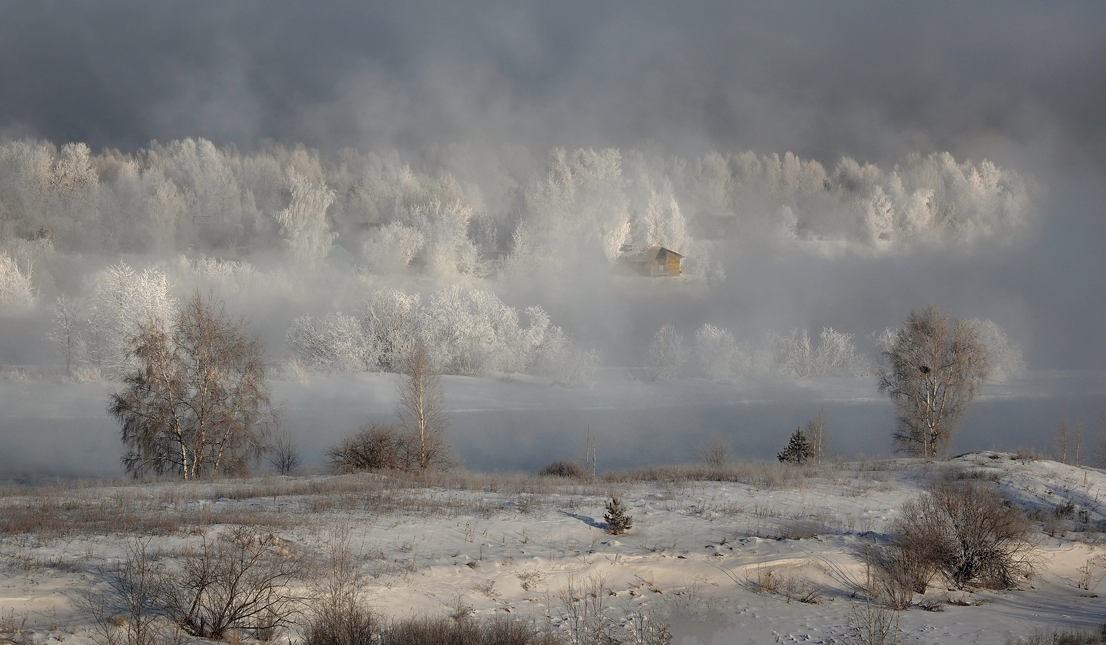, Александр Попов