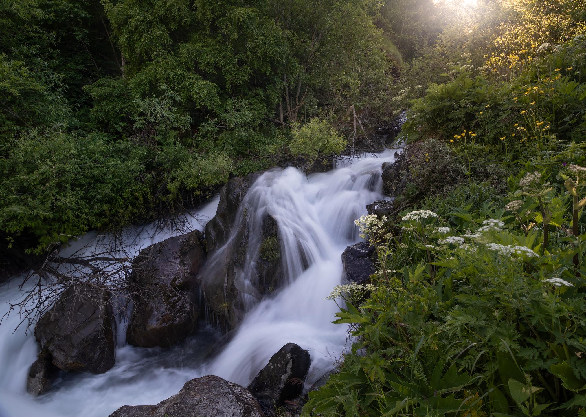 , Михаил Гапонов