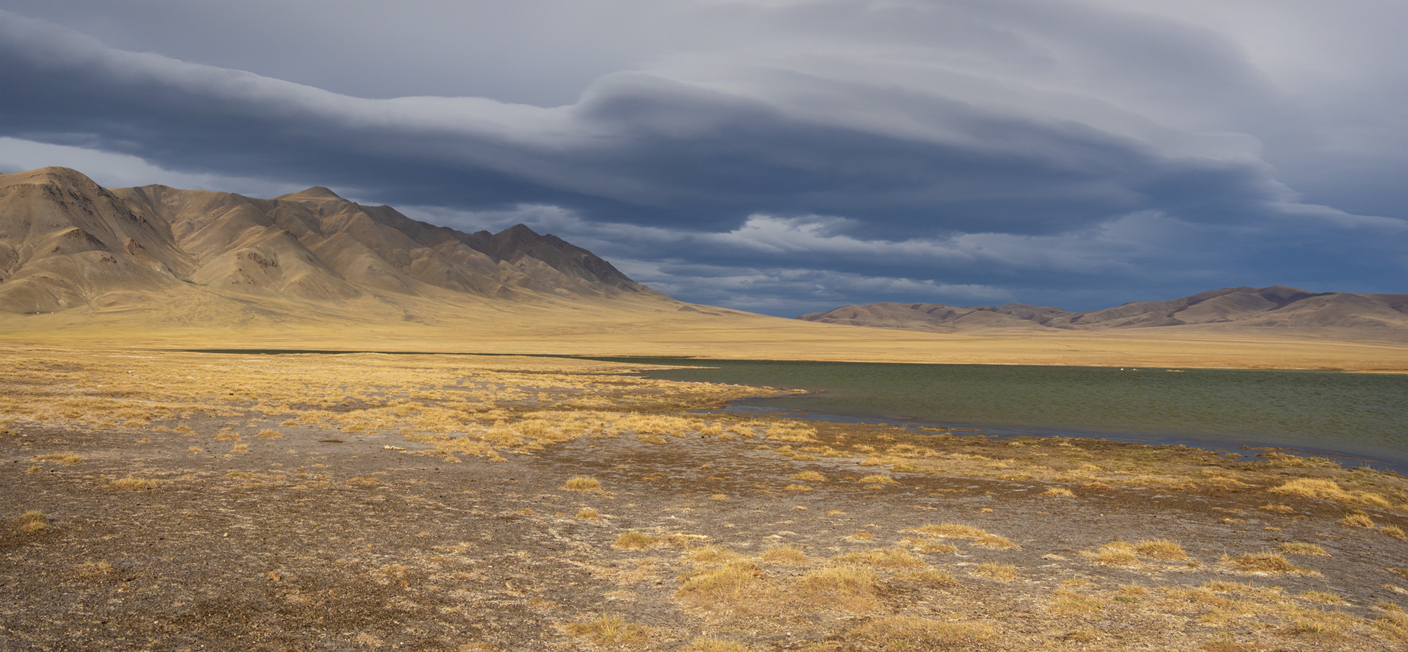 , Лещёнок Александр