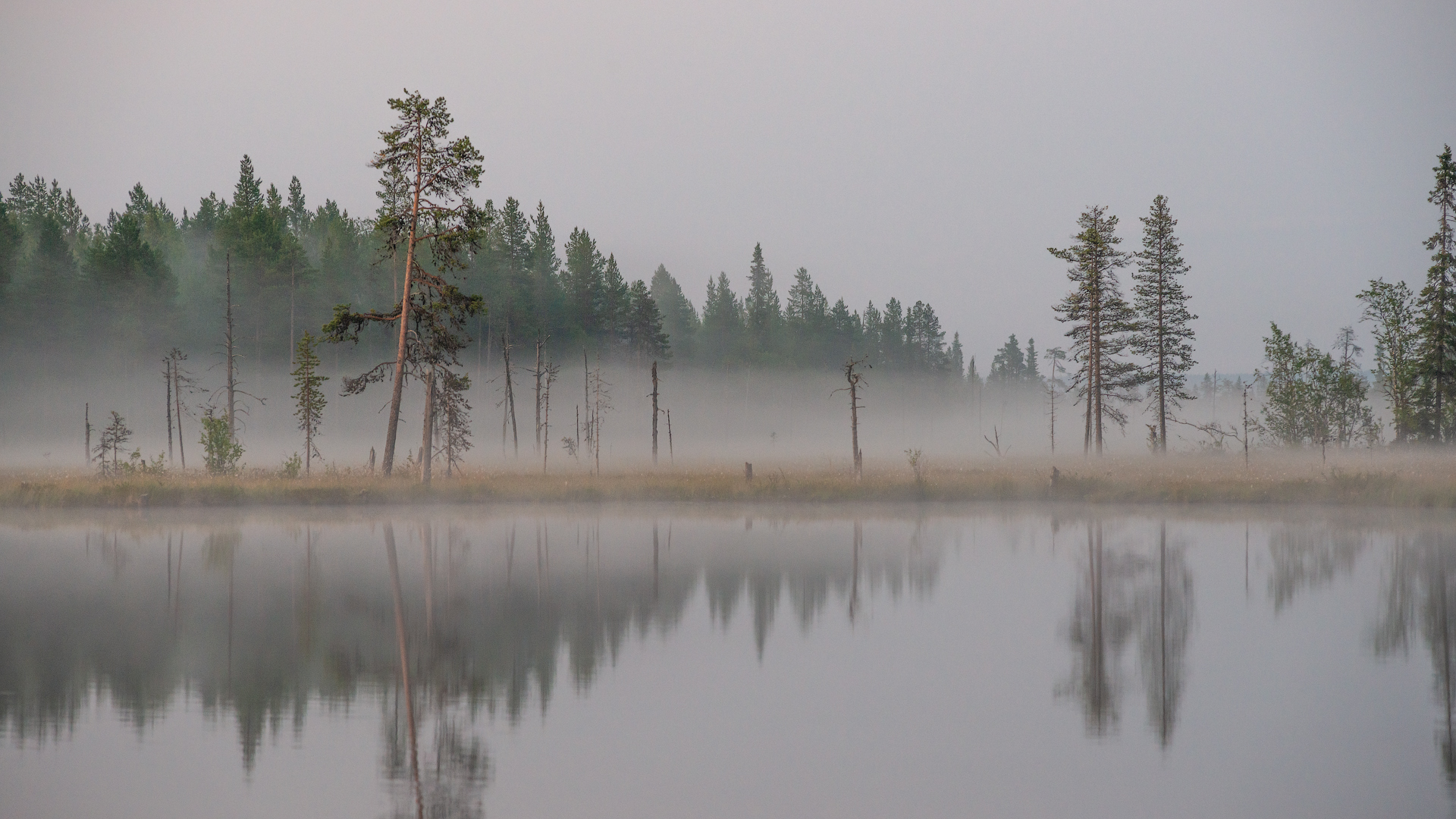 , Роман Горячий
