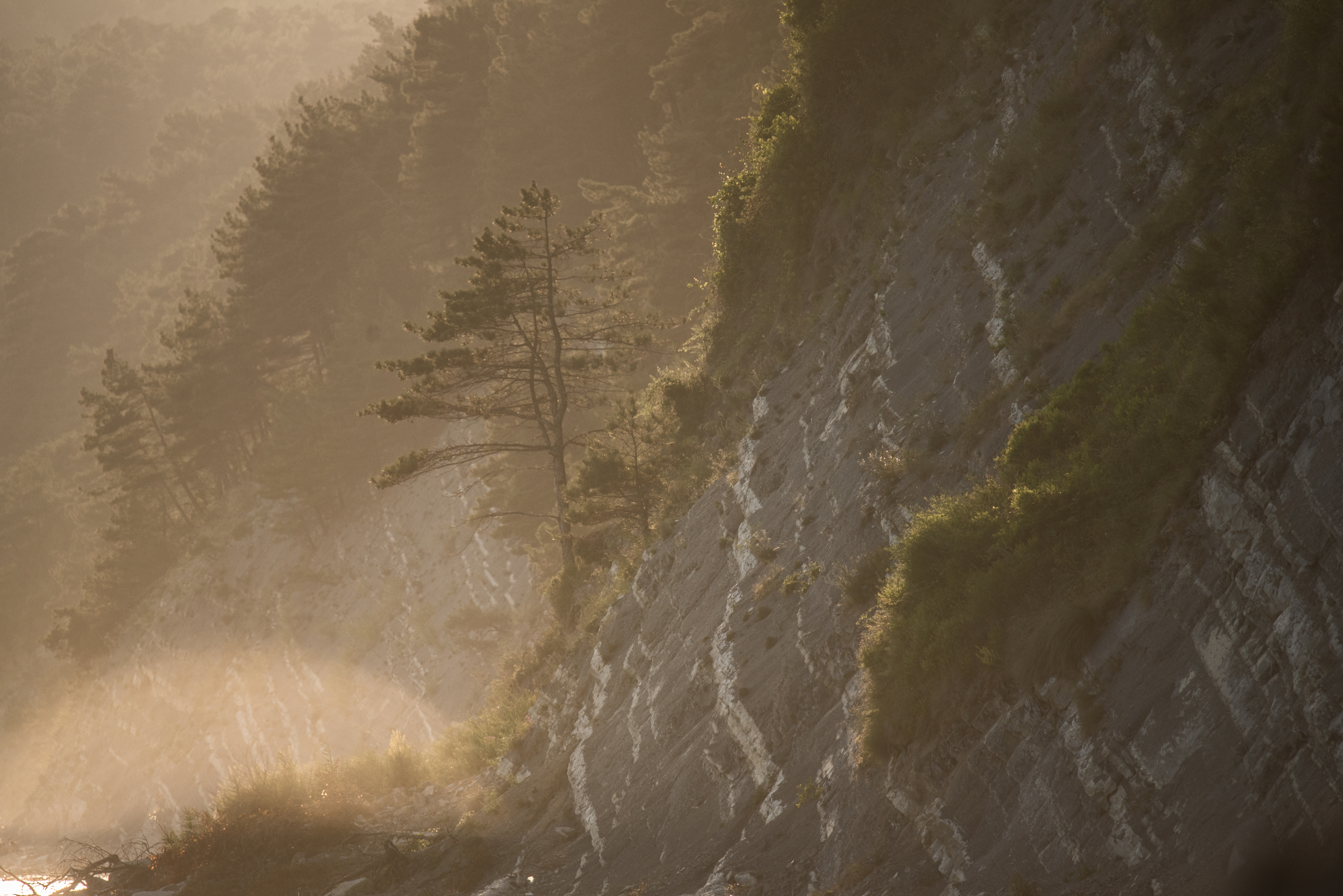 , Дмитрий Величко