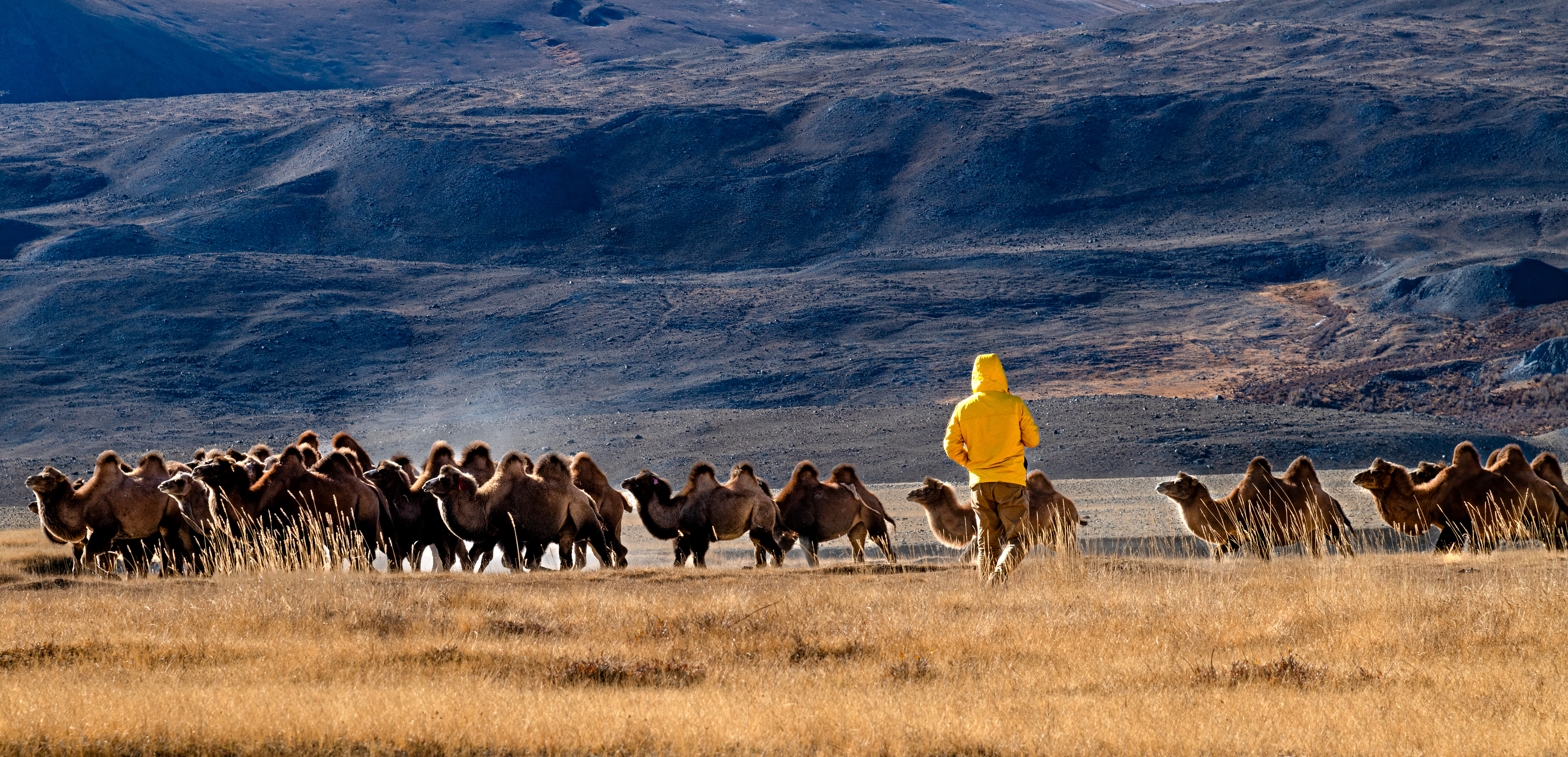 , Юрий Матвеев