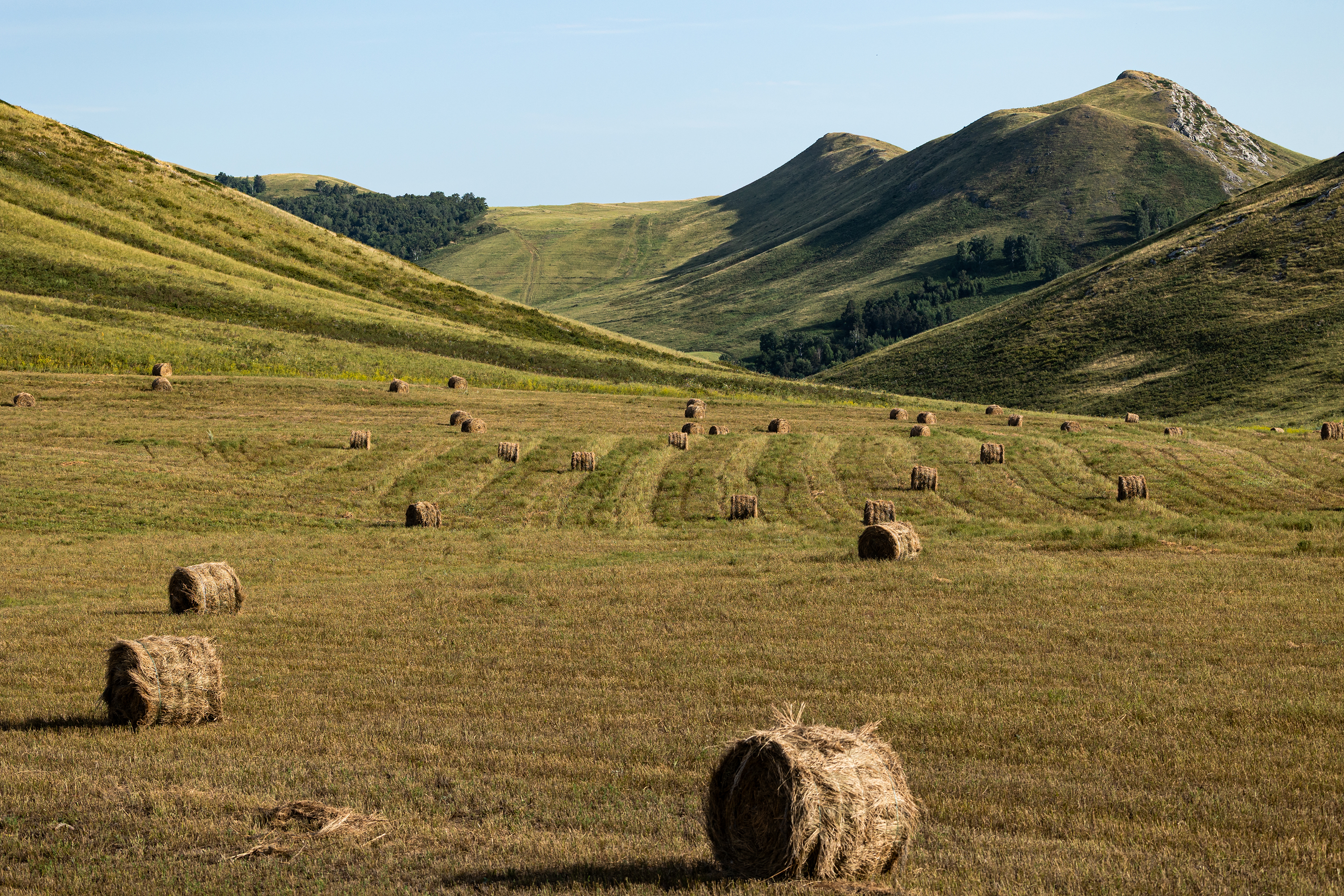 , Дмитрий Щепанов
