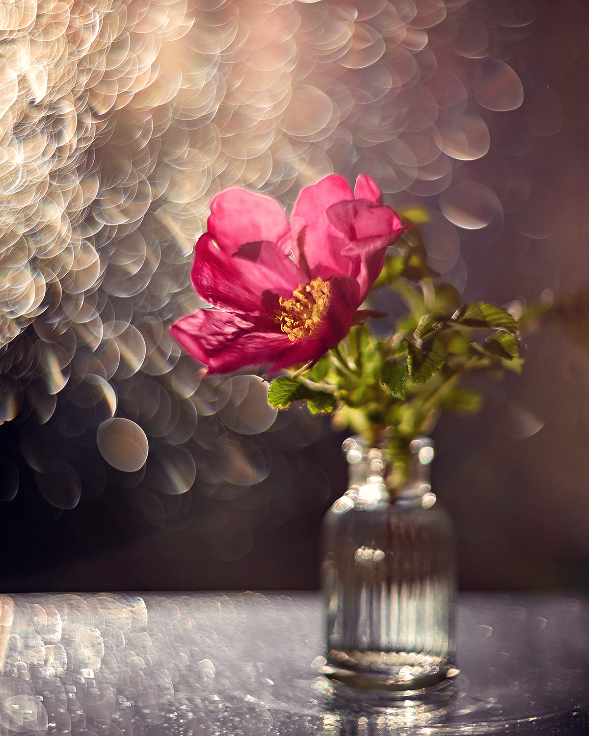 , Наталья Кабачек