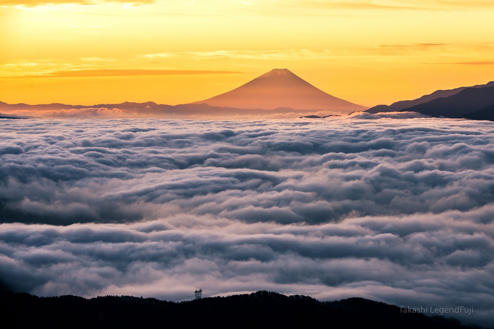 fuji,mountain,cloud,sea of cloud,morning,sunrise,sunshine,orange,yellow,, Takashi