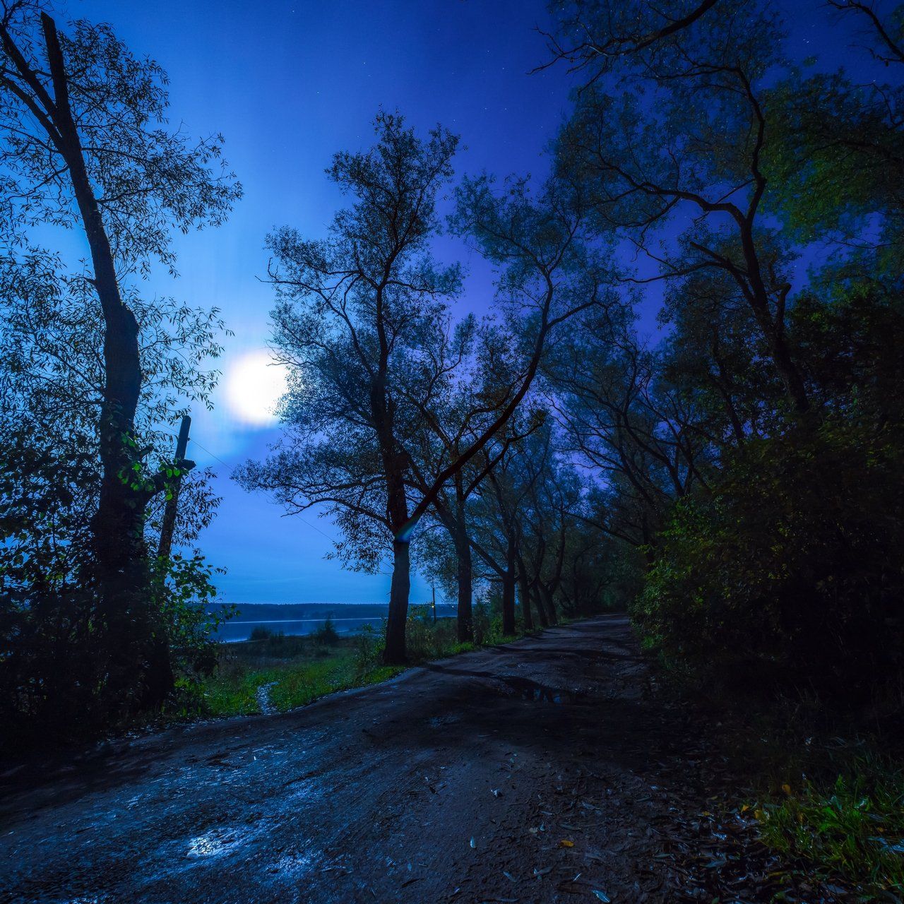 ночь, осень, луна, звезды, деревья, дорога, парк, Владимир Ушаков