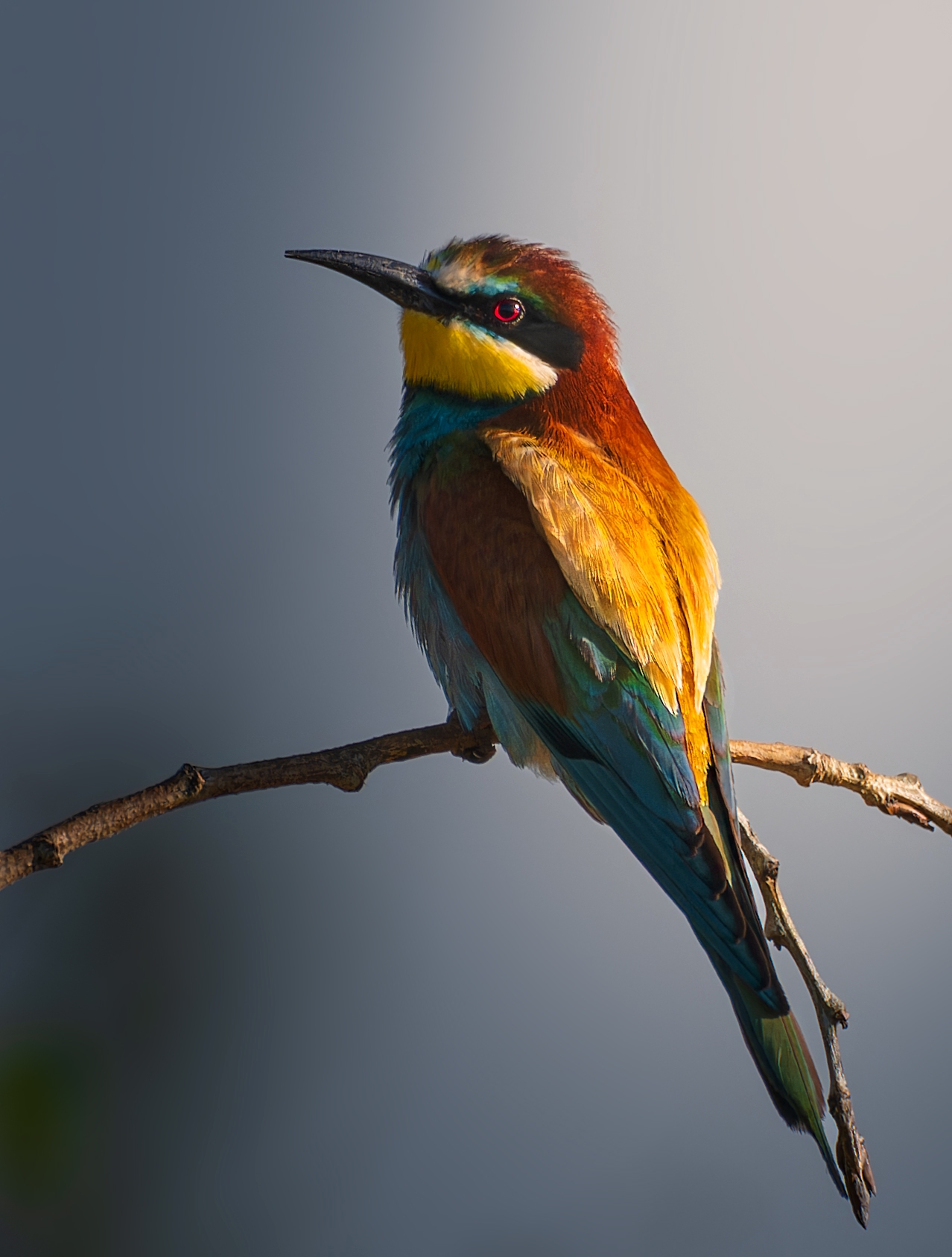 , Фото Александр