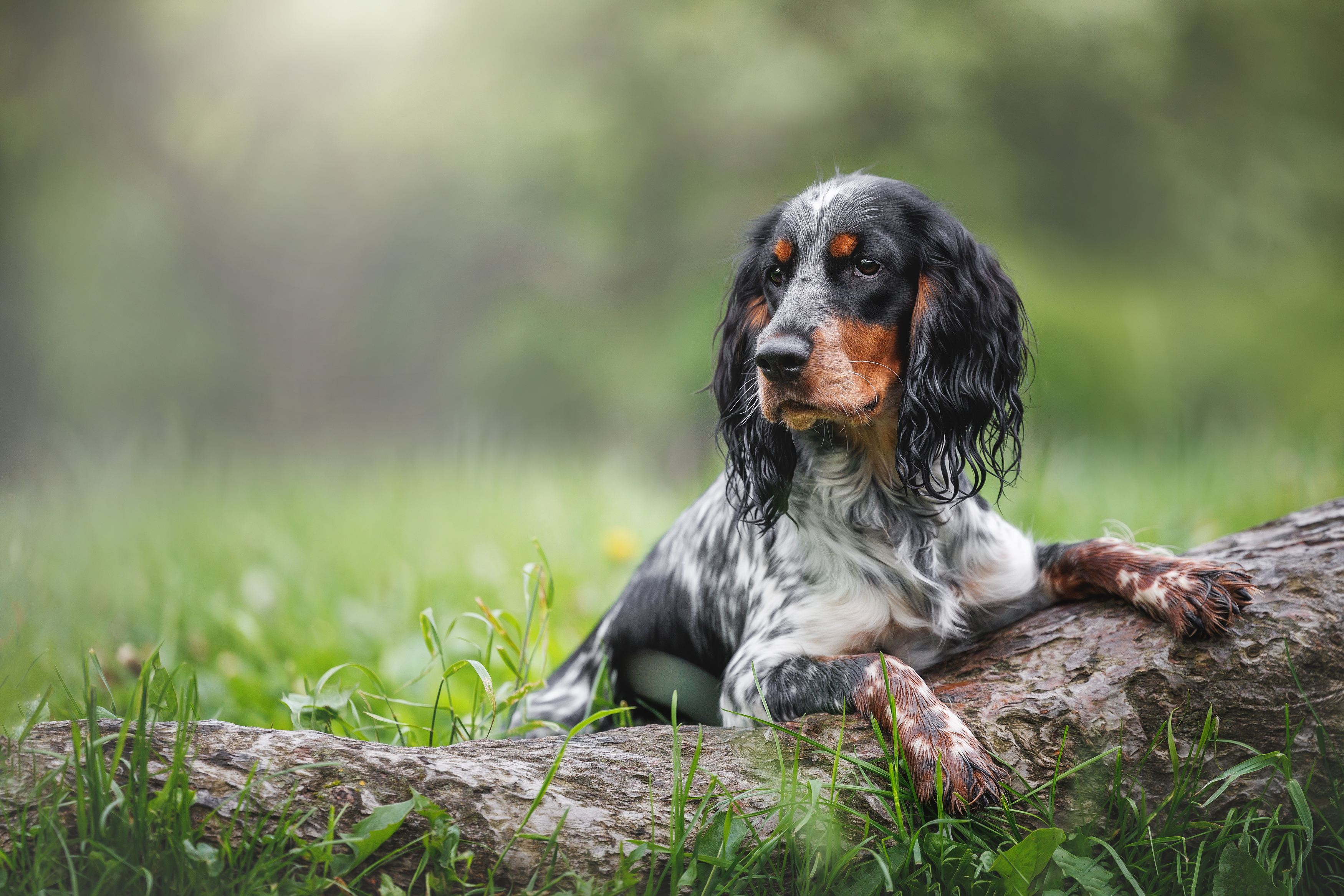 , Яна Нарбутович