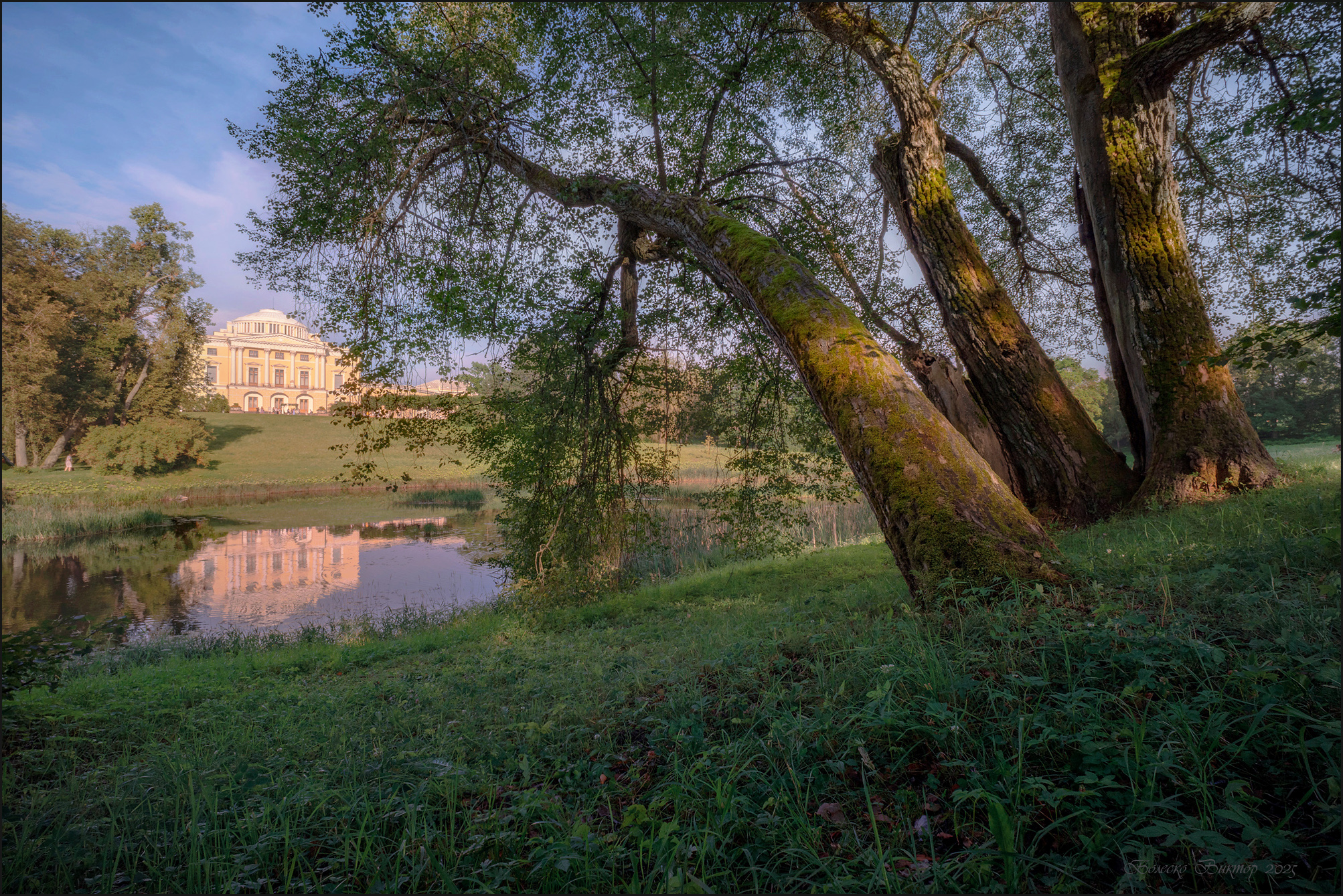 , Болеско Виктор