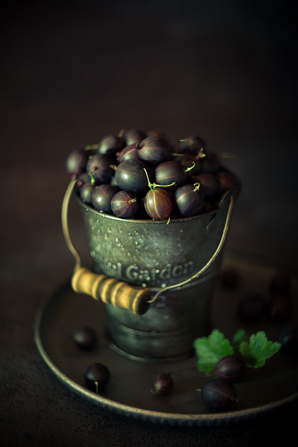 лето, крыжовник, черный крыжовник, Александр Азаренков