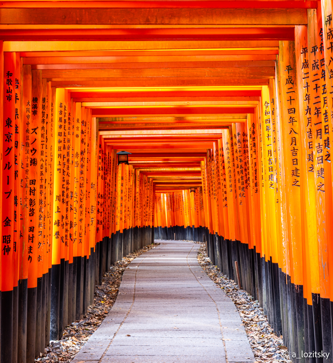 , Лозицкий Александр