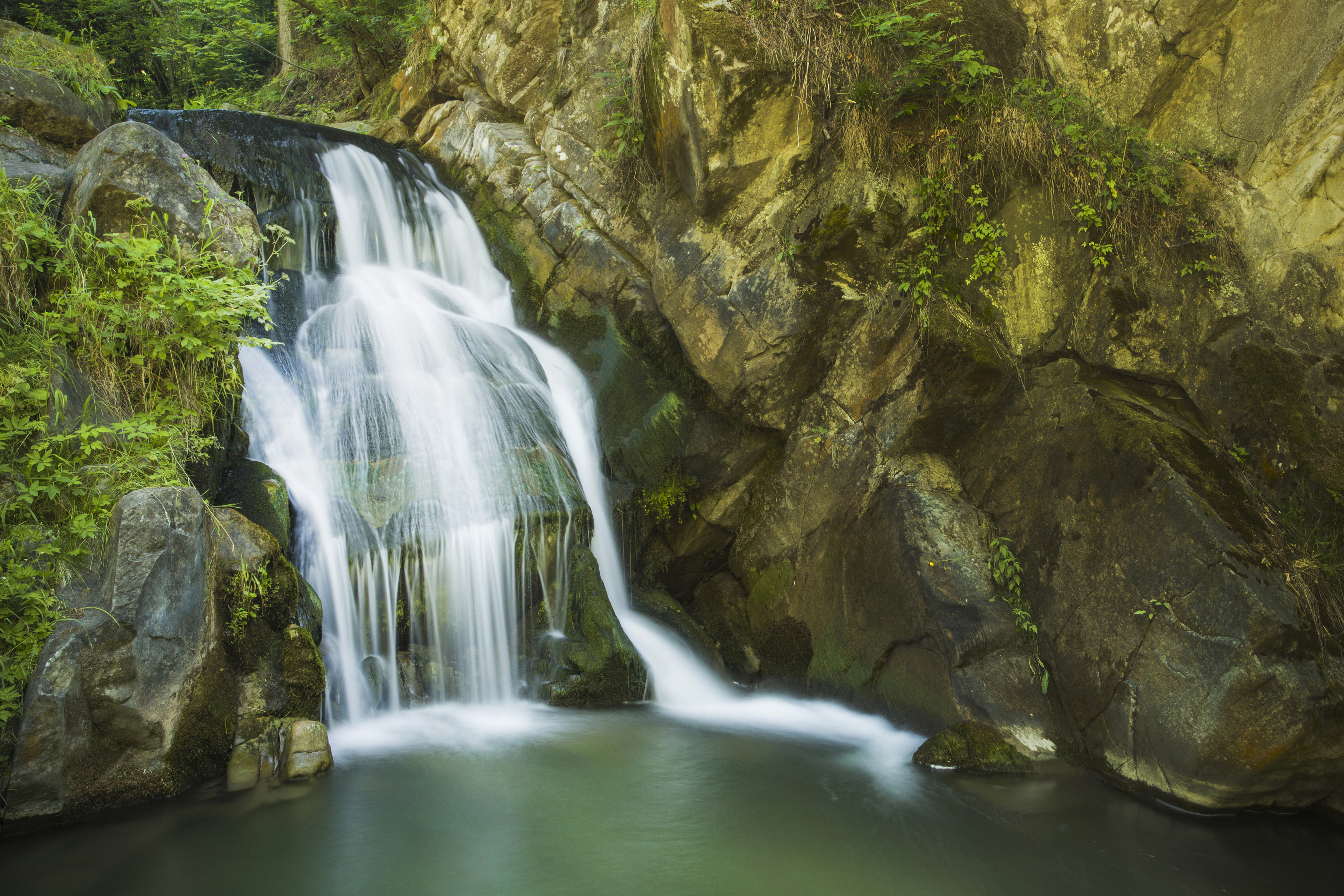 Waterfall, Nature, Forest, Tree, Landscape, Rock, Water, Damian Cyfka